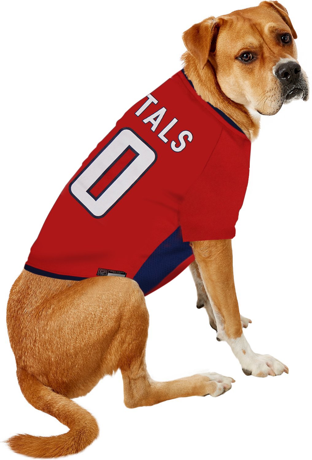 Pets First NHL Washington Capitals Jersey for Dogs & Cats, Medium. - Let Your Pet be a Real NHL Fan!