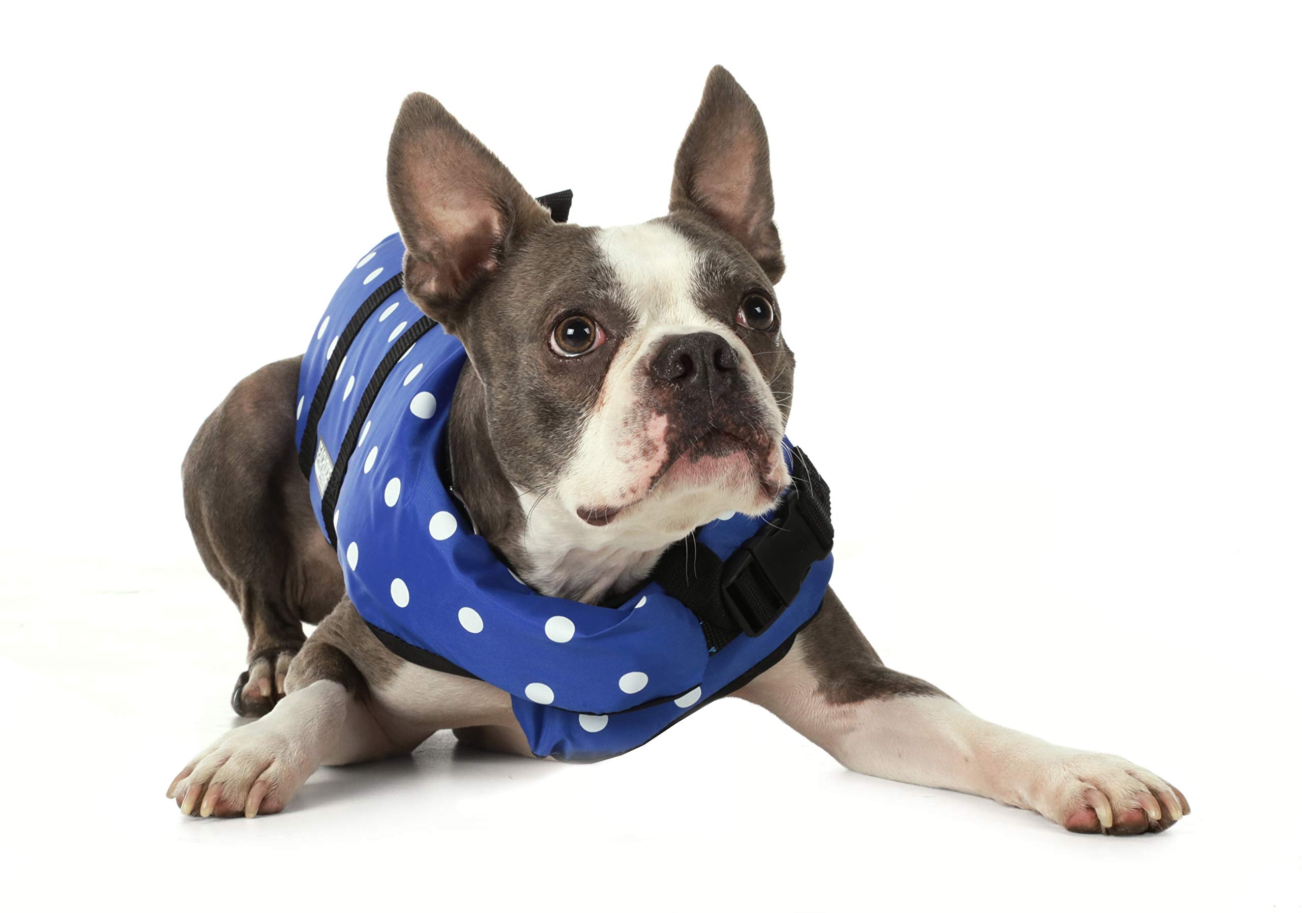 Seachoice Dog Life Vest, Adjustable Life Jacket For Dogs, W/Grab Handle, Blue Polka Dot, Size Xxs, Up To 6 Lbs.