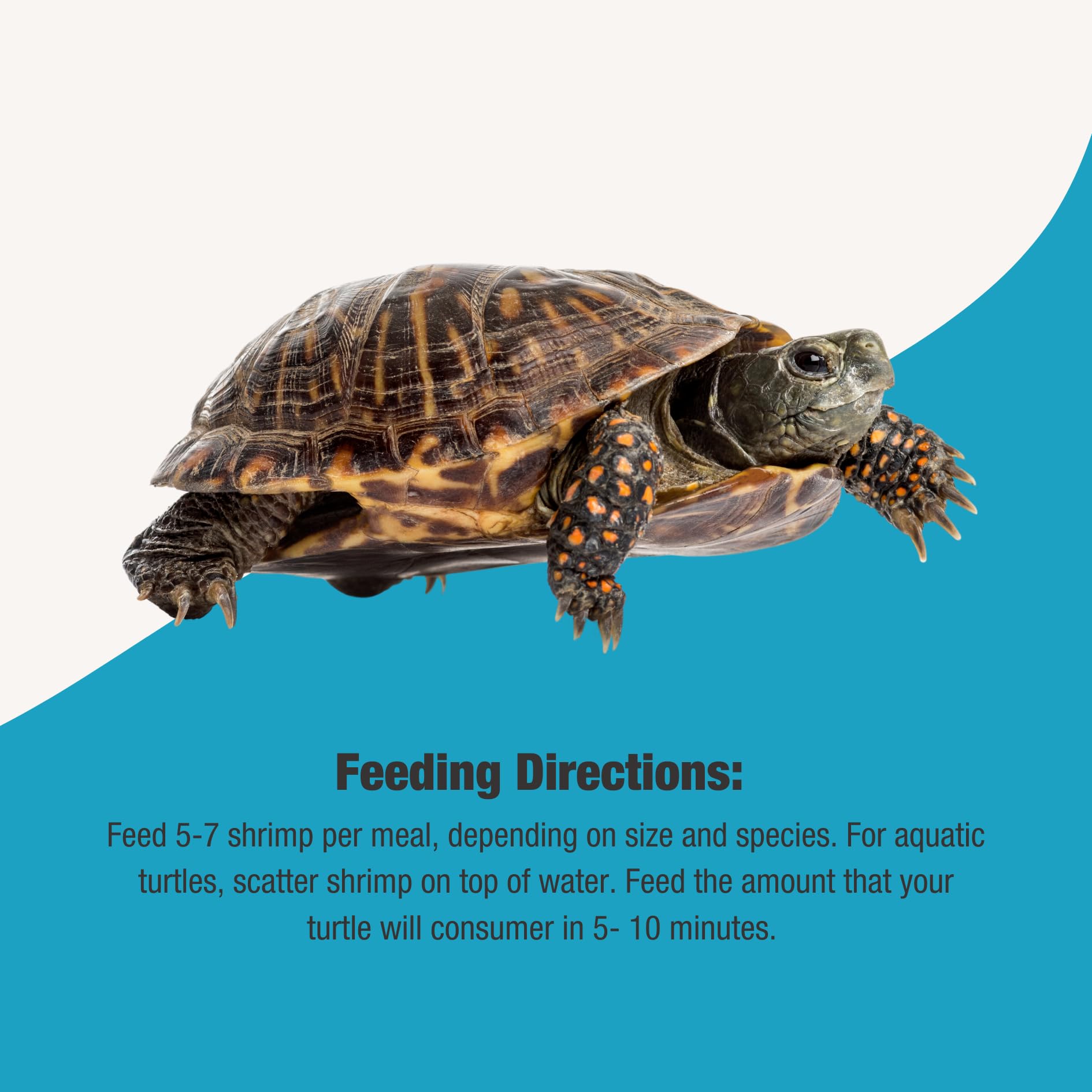 Flukers Grub Bag Turtle Treat River Shrimp