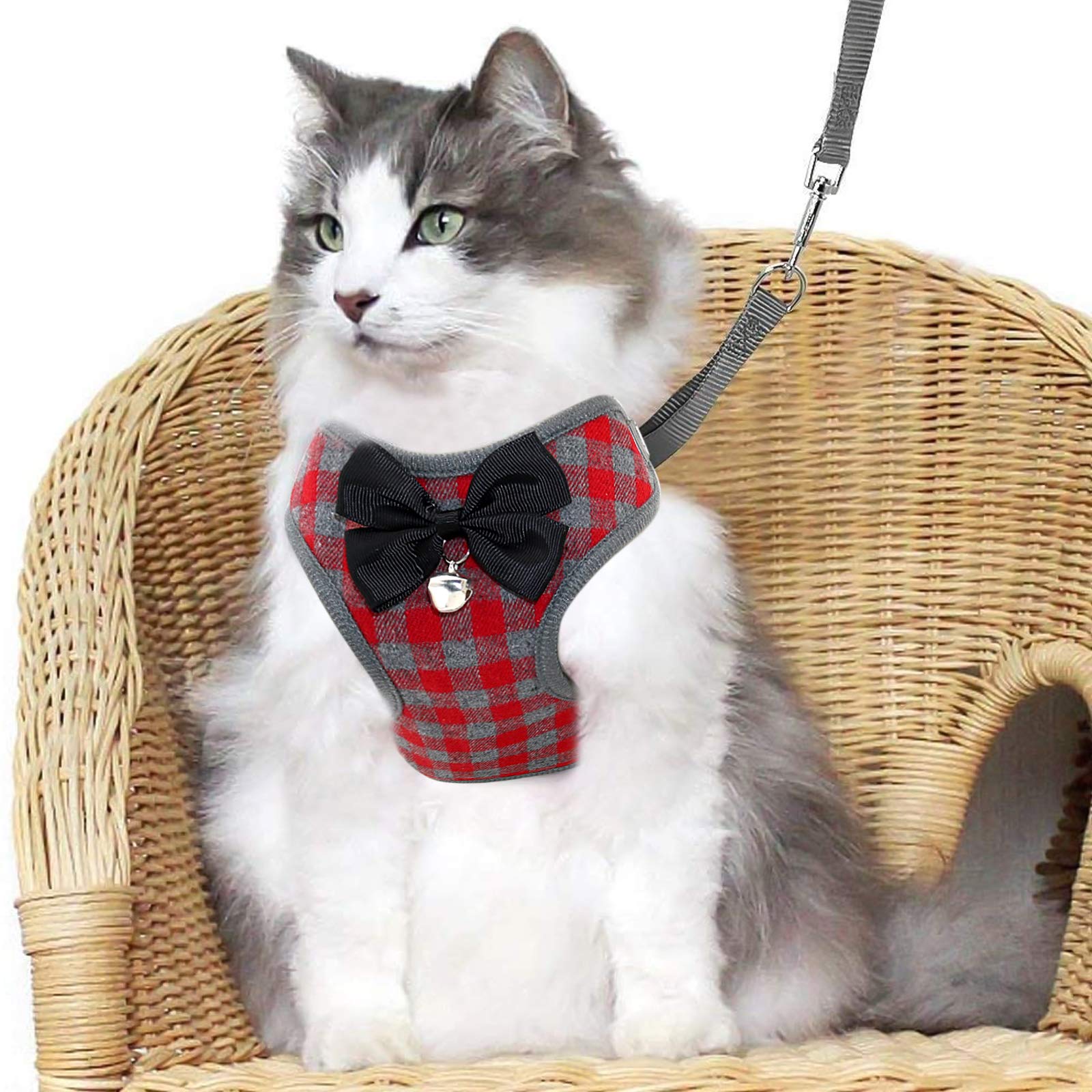 Rypet Small Dog Harness And Leash Set - No Pull Pet Harness With Soft Mesh Nylon Vest For Small Dogs And Cats Red L