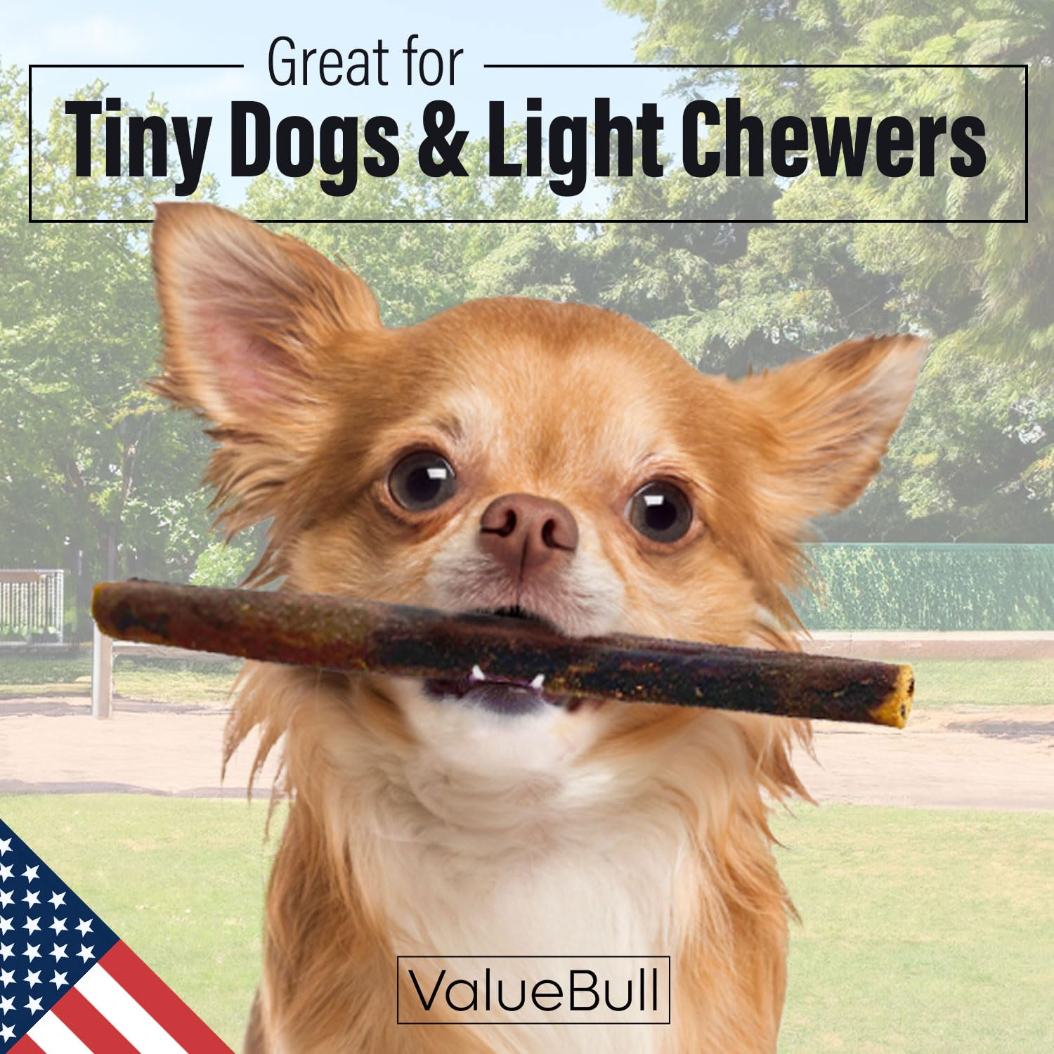 ValueBull USA Collagen Sticks for Small Dogs, 6 Inch Extra Thin Chews, Natural Dog Treats, 100 Count Bulk Pack - Promotes Joint,