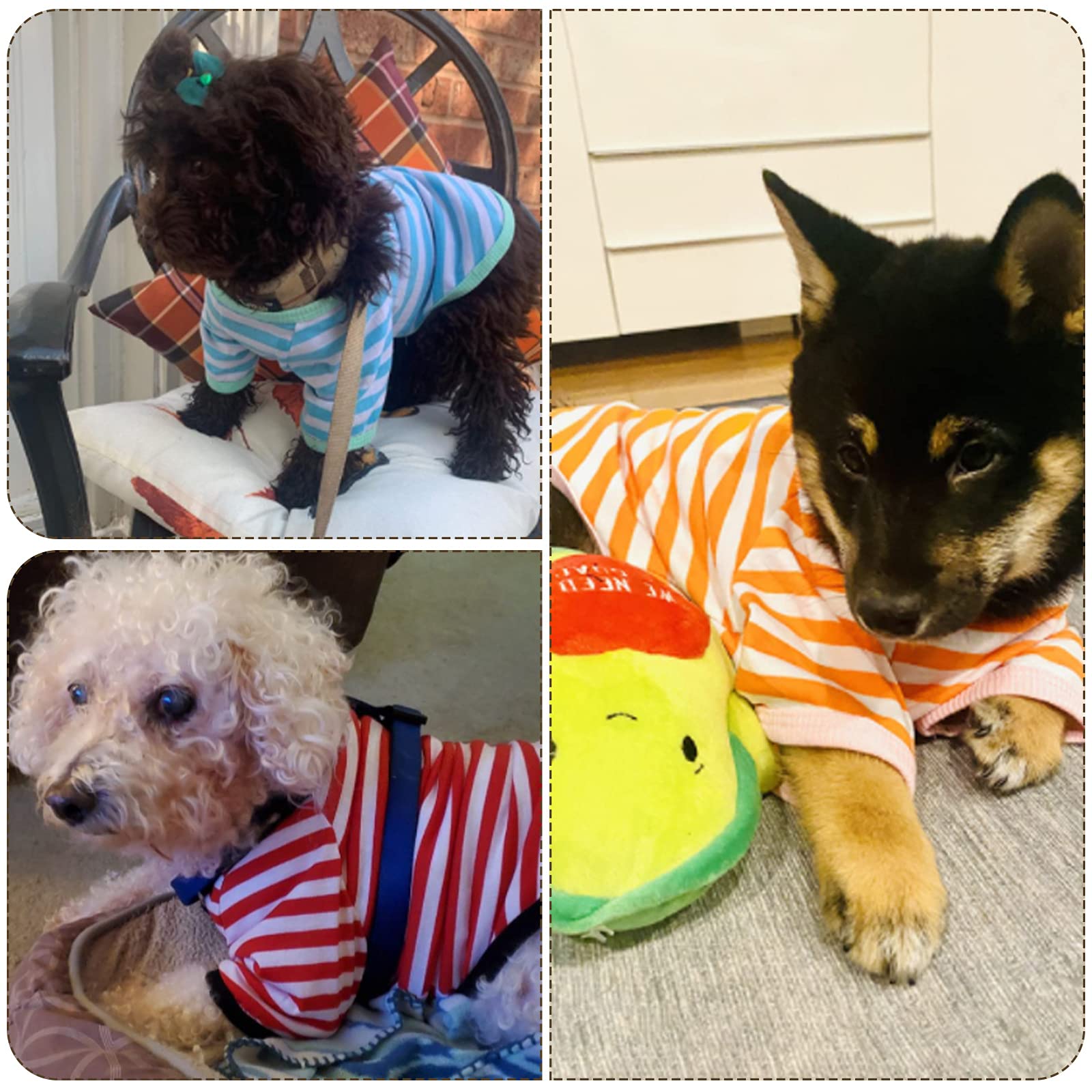 Geyoga 6 Pieces Dog Striped T-Shirt Dog Shirt Breathable Pet Apparel Colorful Puppy Sweatshirt Dog Clothes For Small To Medium Dogs Puppy (Xl)
