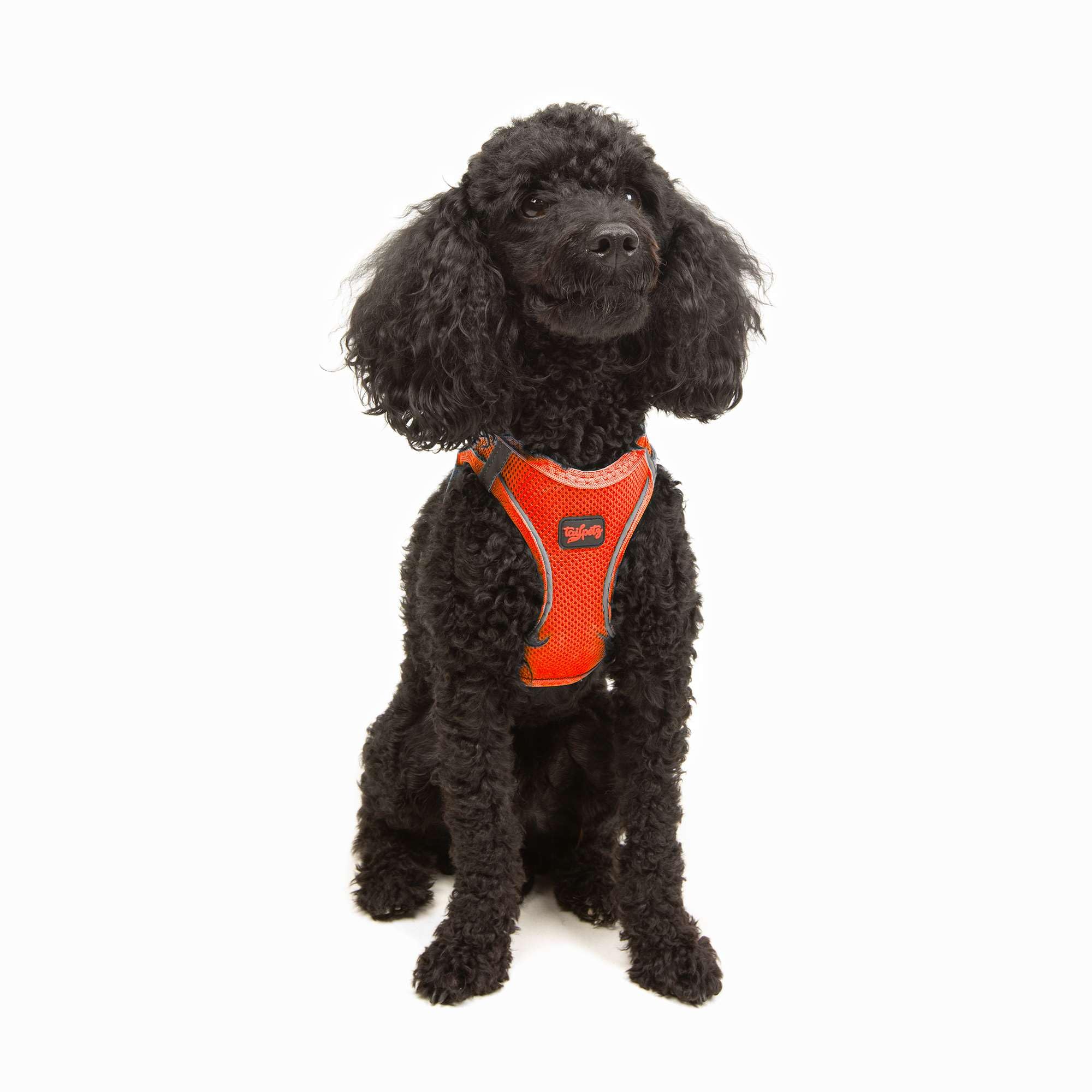 Tailpetz XSmall Dog Harness Orange, Adjustable Step in No Pull Harness for Small Dogs, Reflective Puppy Harness for Puppy Traini