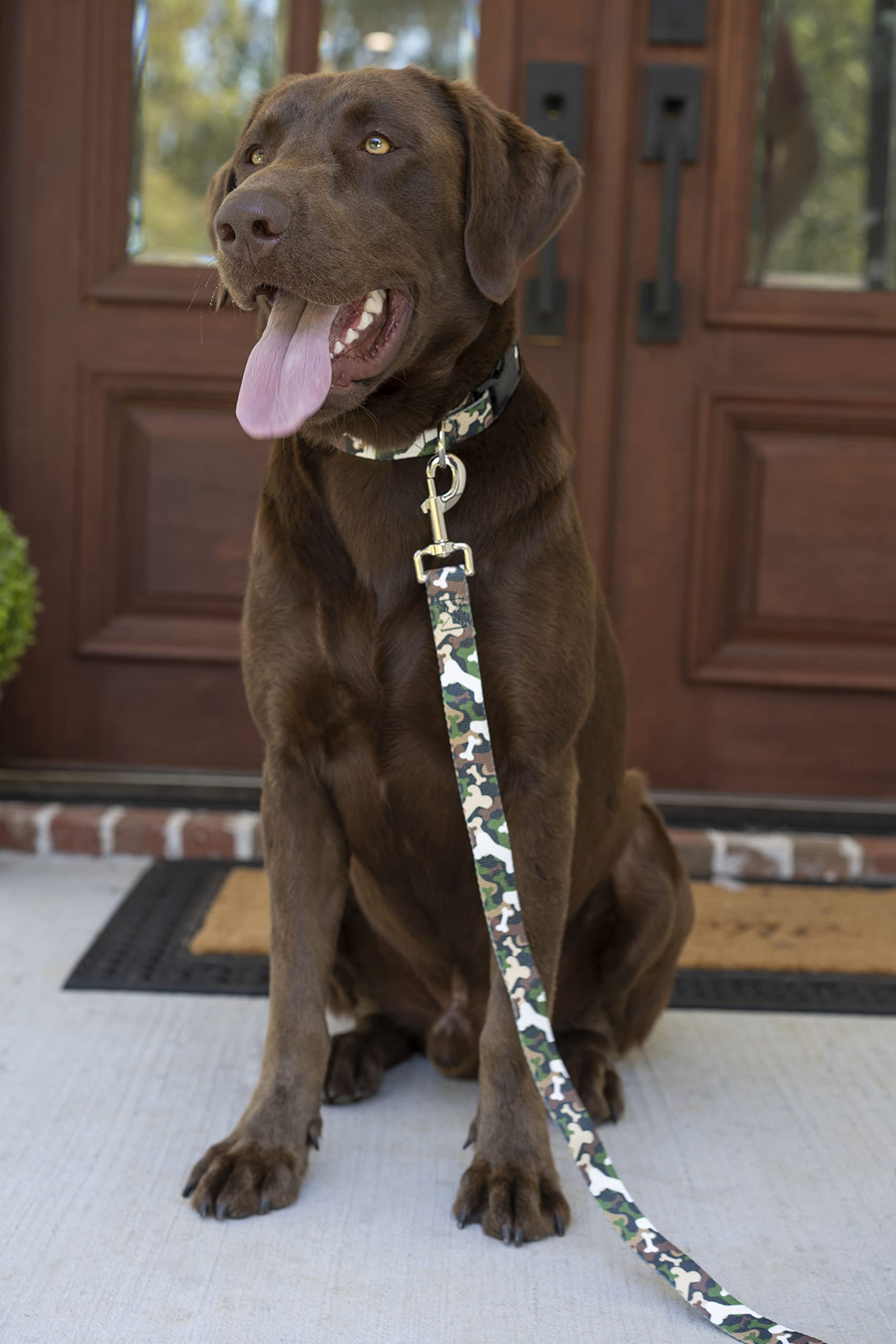 Country Brook Petz - Deluxe Woodland Bone Camo Dog Collar - Made In The U.S.A. - Camouflage Collection With 16 Rugged Designs (1