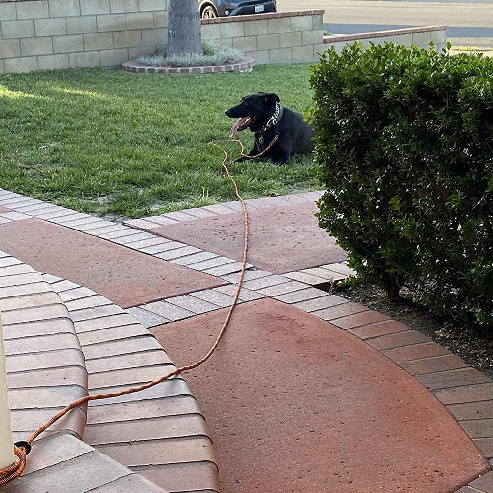 Btinesful Tie-Out Check Cord Long Rope Dog Leash, 8Ft 12Ft 20Ft 30Ft 50Ft Recall Training Lead Leash- Great For Large Medium Sma