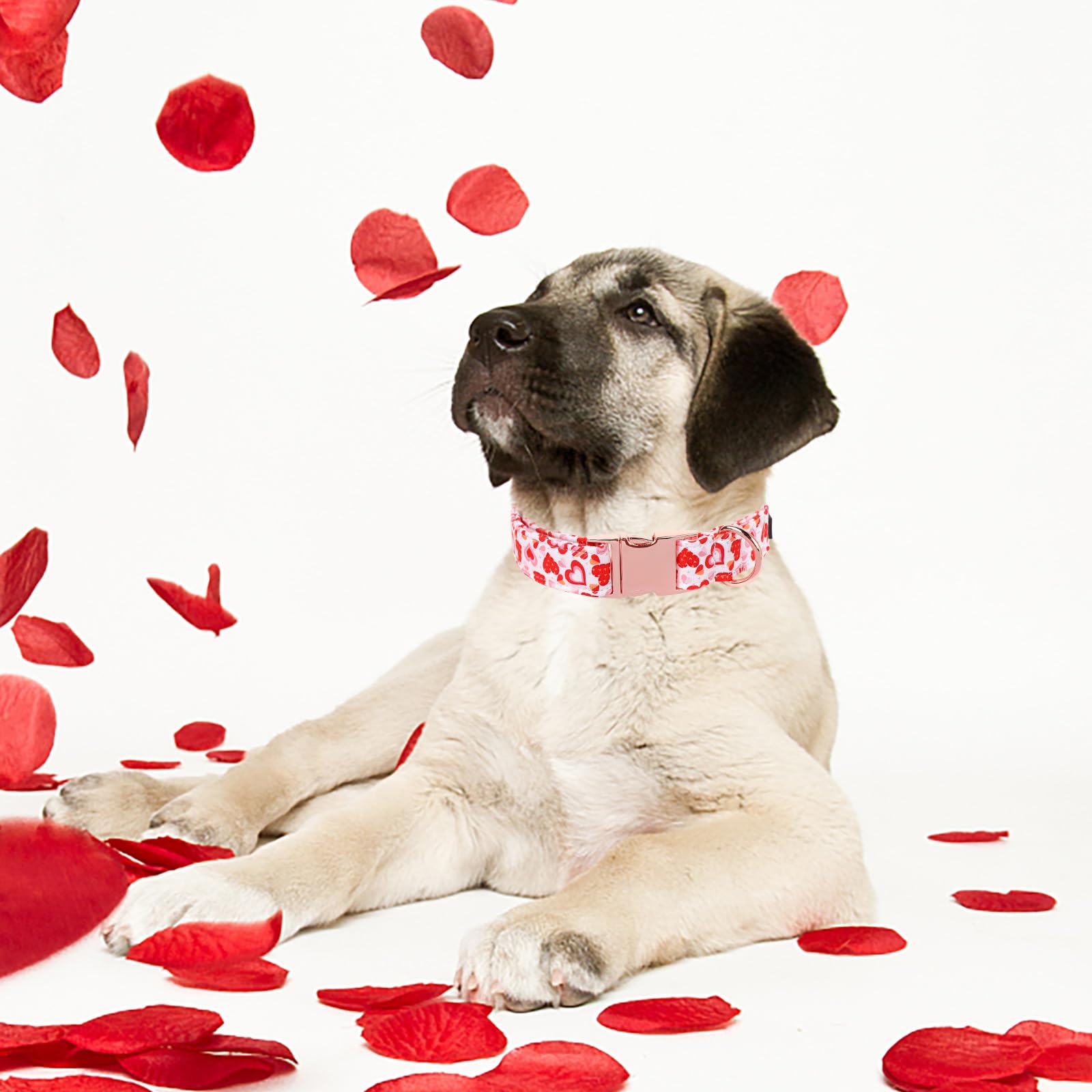 M MACA BATES Valentines Dog Collar - Adjustable Soft Heart Design, Size L, Valentine-Pink Love for Small Medium Large Dogs