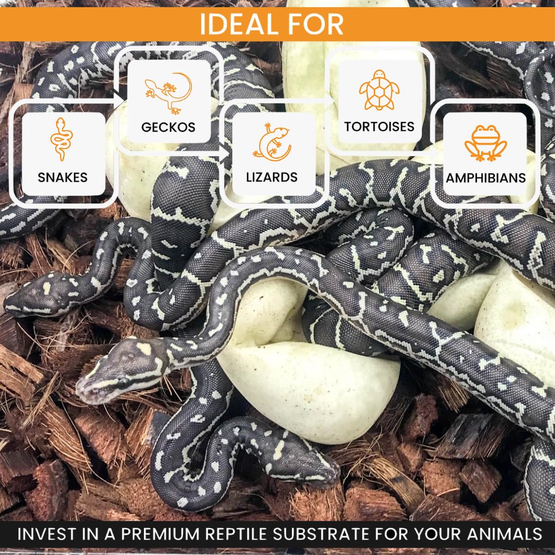 Reptichip Reptile Bedding Loose Coconut Chip 36 Quart 4 Pack Coco Husk Substrate Mulch For Snake Habitat, Ball Python Terrarium,
