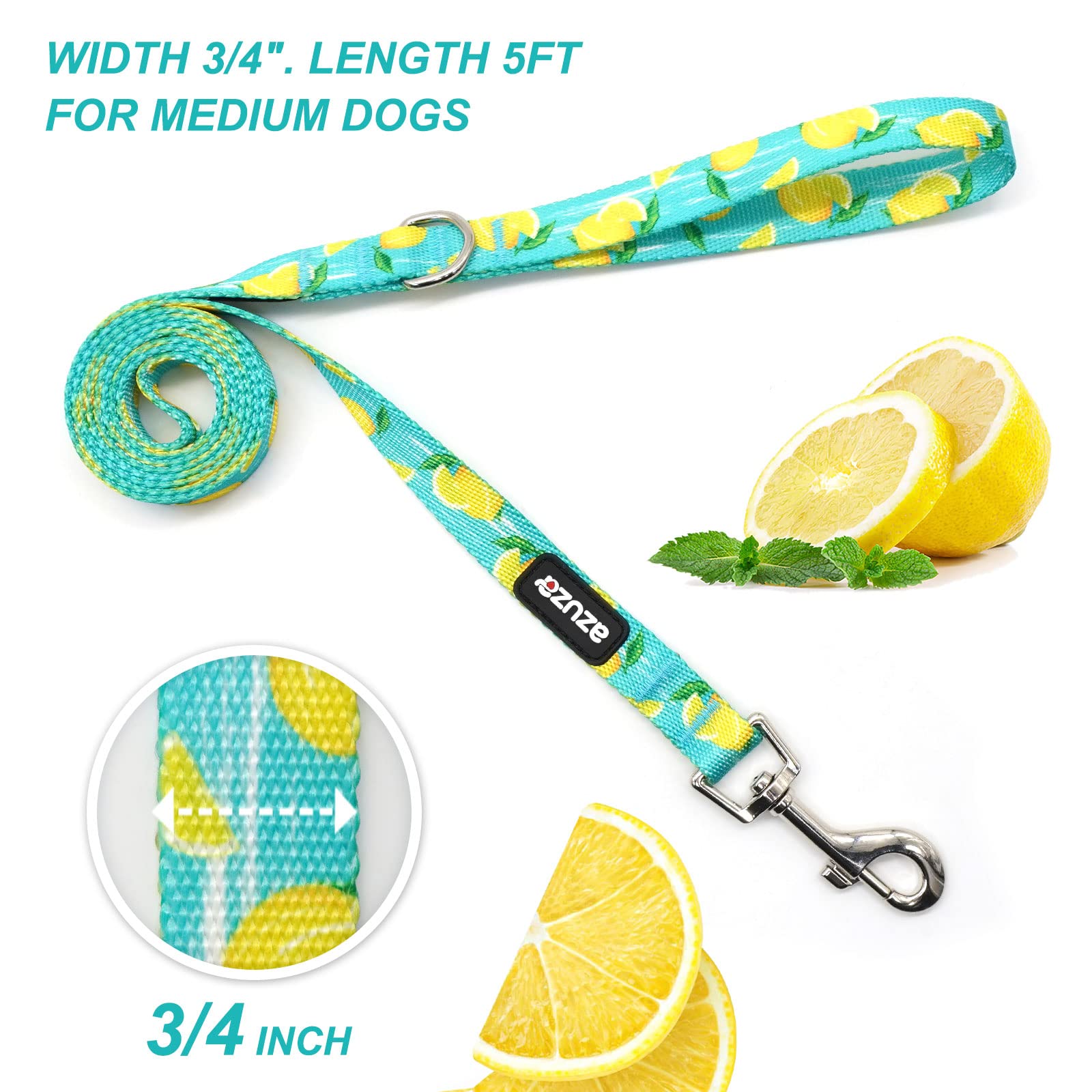 Azuza 3 Pack Fruit Design Nylon Dog Leashes Strong & Durable Basic Dog Leash With Easy To Use Collar Hook For Medium Dogs, M (5F