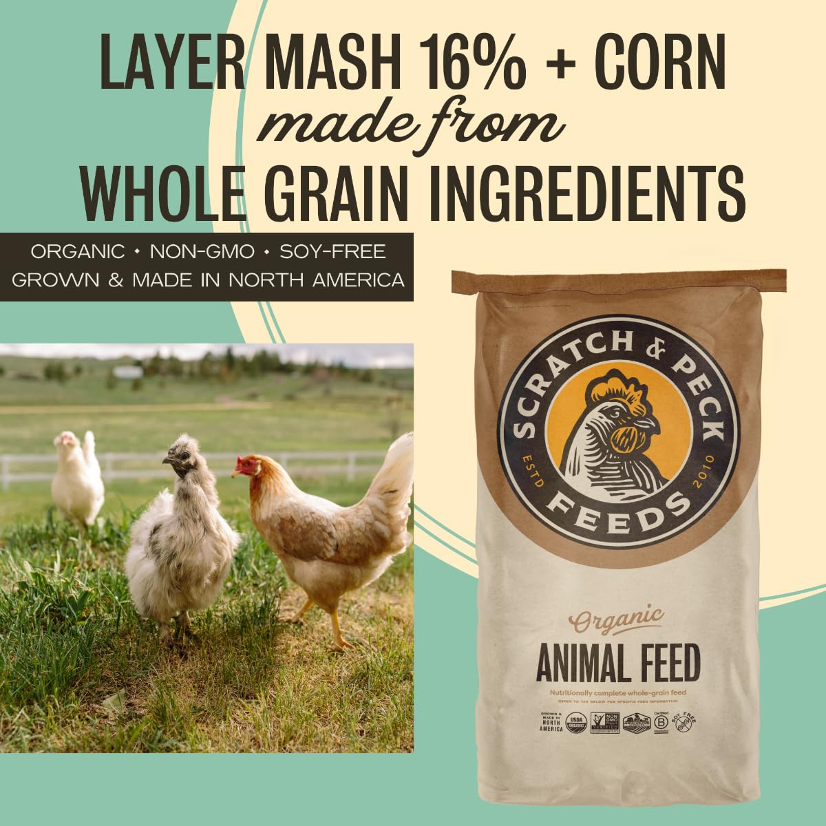 Scratch and Peck Feeds Whole Grain Layer Mash + Corn Chicken and Duck Feed - 40 lbs Bag - Soy-Free - 16% Protein, Certified Orga