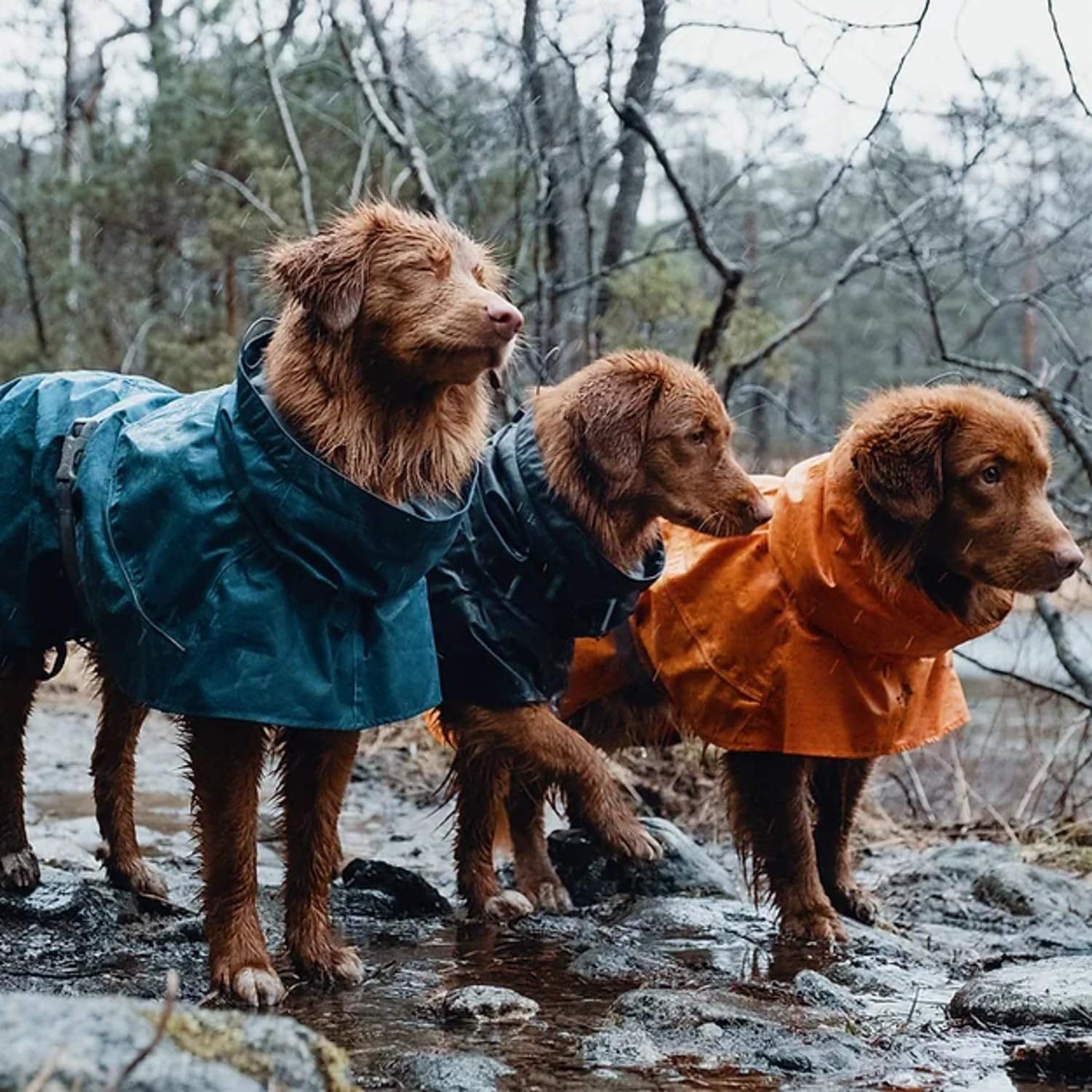 Hurtta Monsoon Coat, Dog Raincoat, Blackberry, 24 In