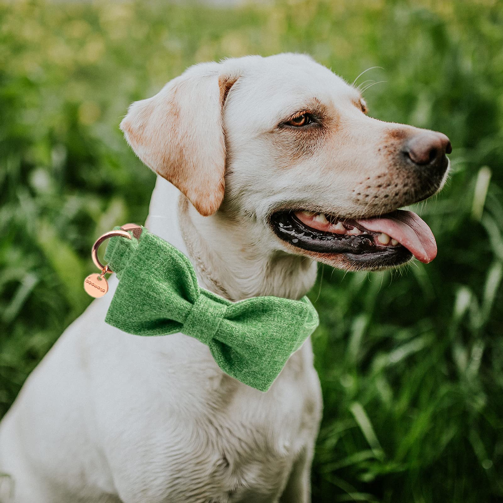Dogwong Hemp Cotton Dog Collar With Bow Green Pet Collar Durable Adjustable Puppy Collar For Small Medium Large Dogs