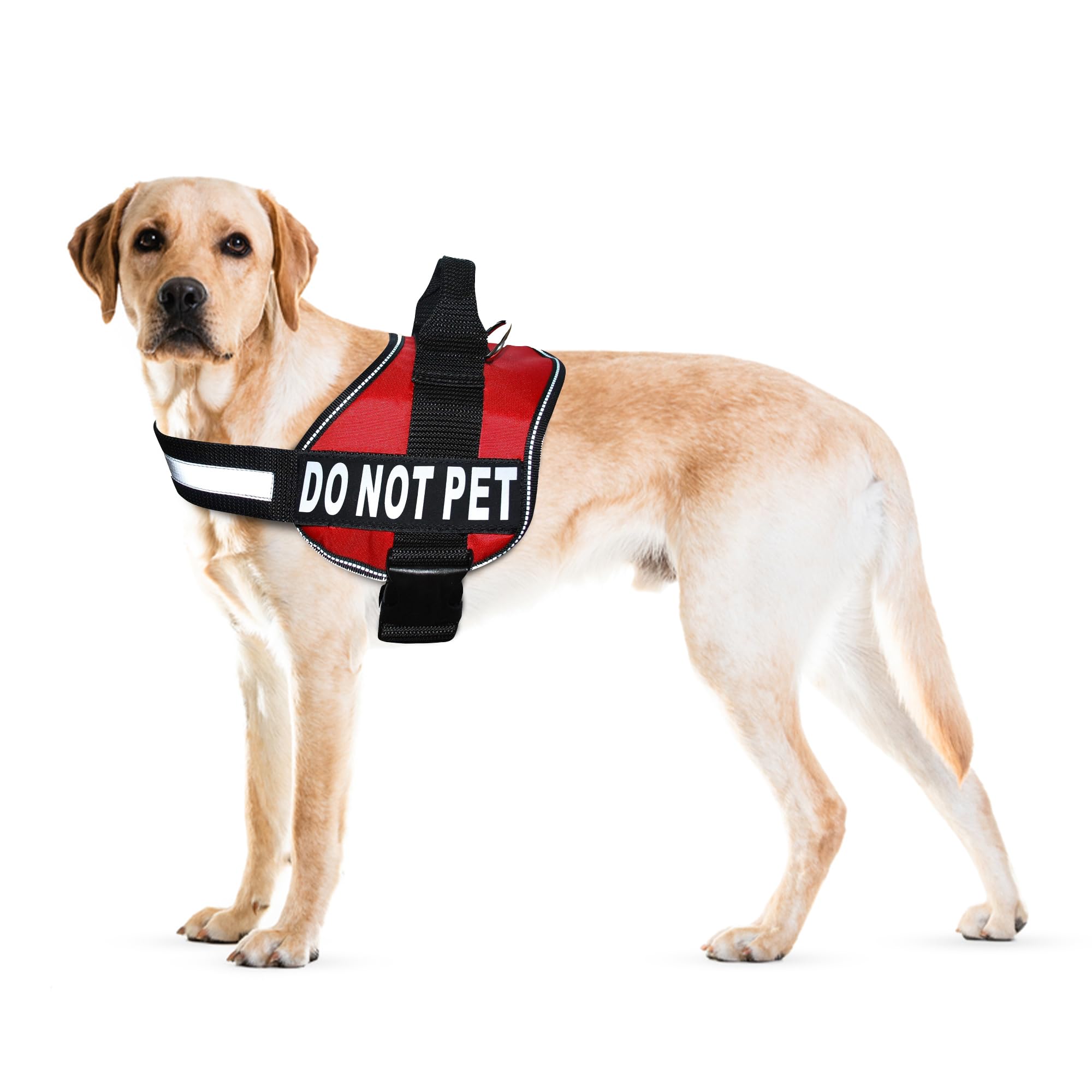 Doggie Stylz Dog Harness with DO NOT PET Patches - No Pull Service Dog Vest and Service Animal Vest for Dogs - Adjustable Gentle