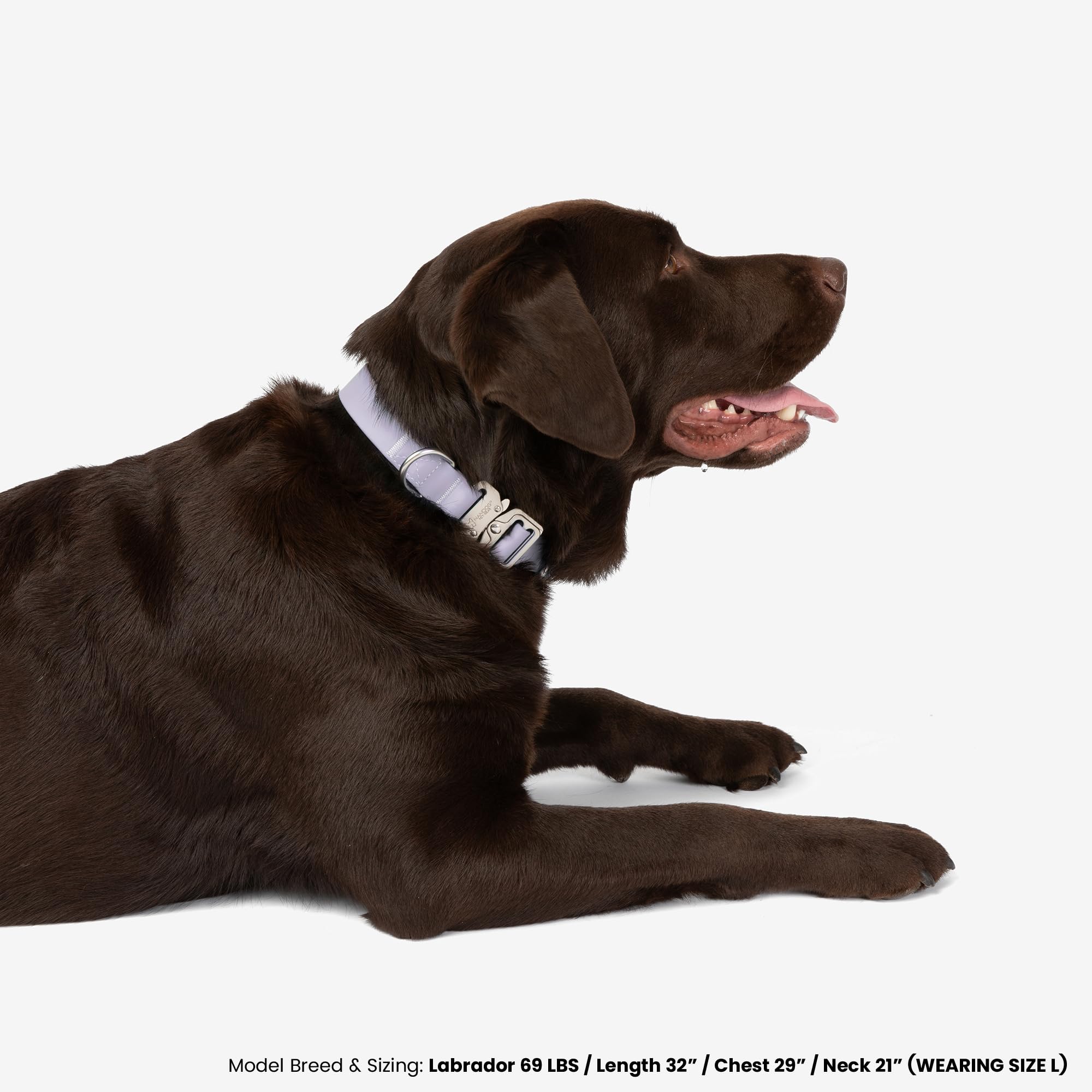 Nandog The Signature Collection Waterproof Poly-Flex Sport Dog Collar In Large, Purple - Durable & Adjustable Design - Comfortab