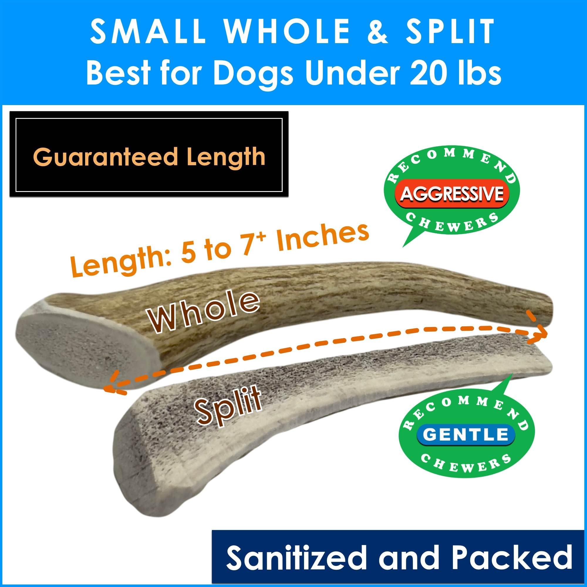 Deluxe Naturals 1-LB Small Mixed Whole & Split Elk Antler Dog Chews (5-7+ in) - Natural Long-Lasting Chews for Dogs Under 20 lbs