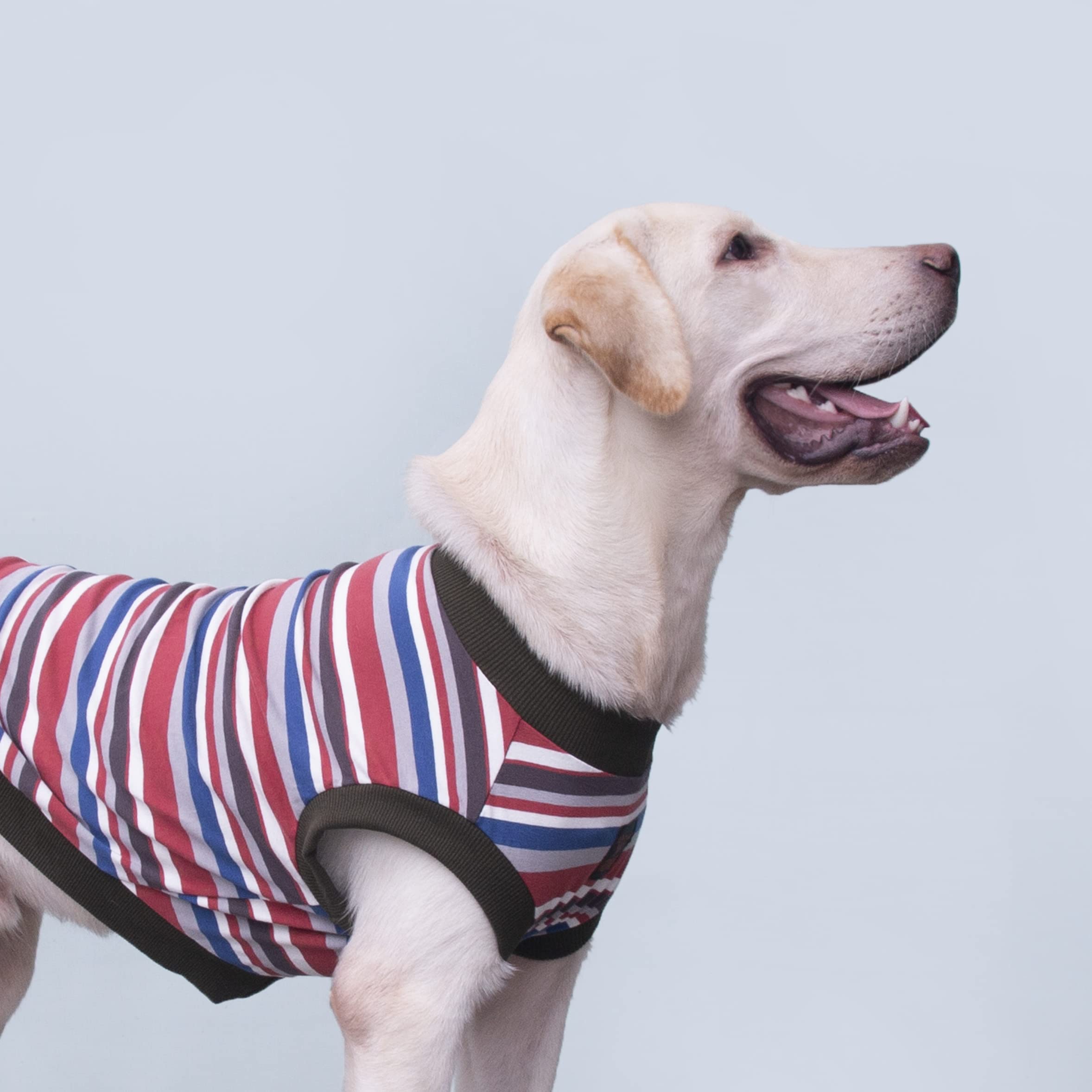 Arunners Extra Large Dog T Shirts Clothes Sleeveless Tank Top Vest For Labrador Rottweiler Great Dane, Red, Large