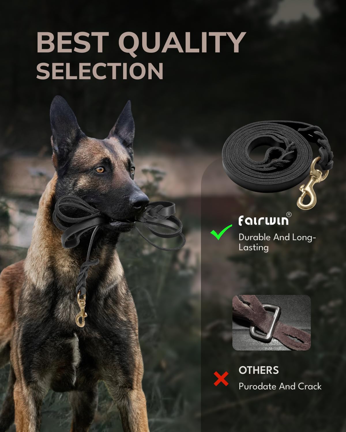 Fairwin Leather Dog Leash 6 Foot - Braided Military Grade Heavy Duty Dog Leash For Large Medium Small Dogs Training And Walking(Black, L:3/4' X 6Ft)
