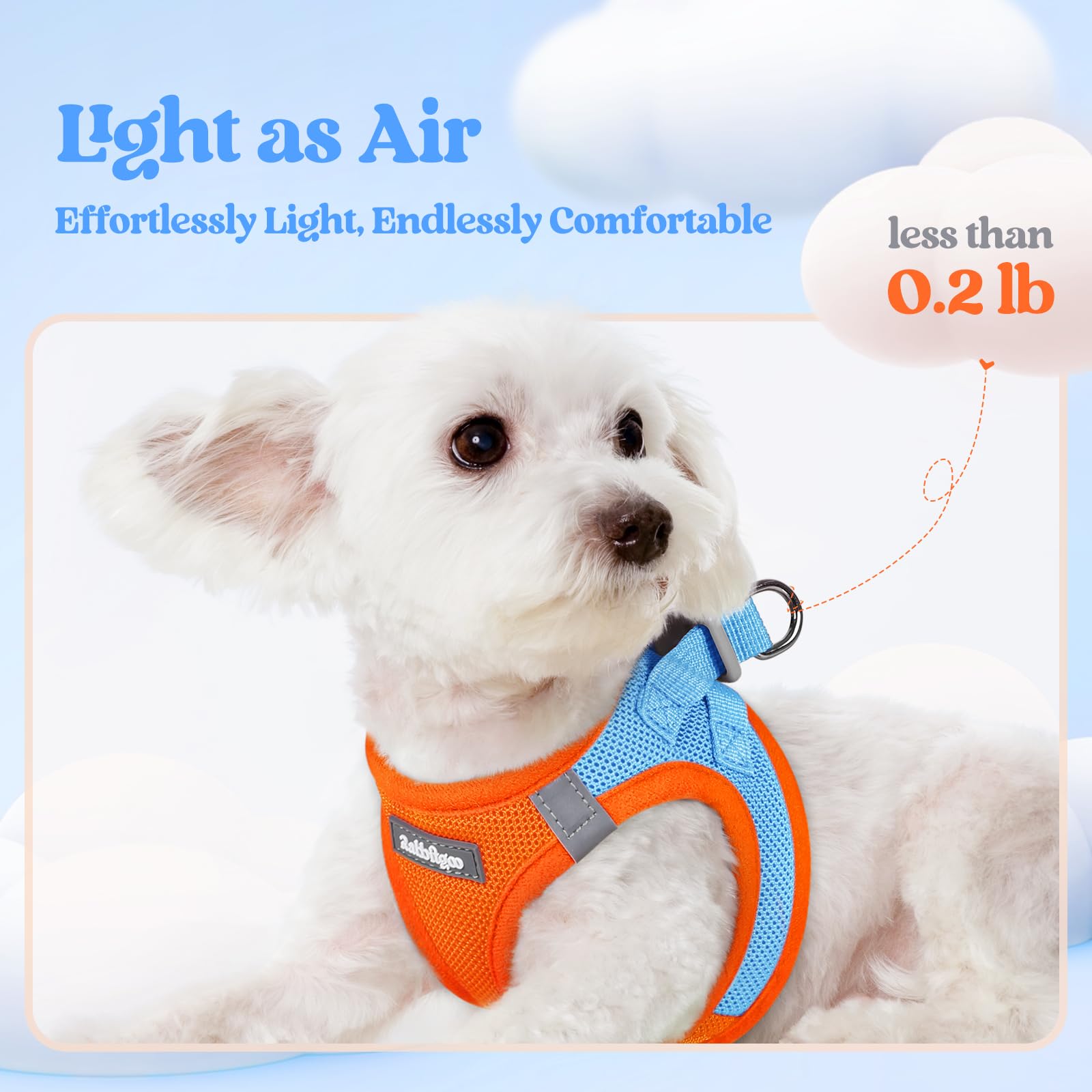 rabbitgoo Dog Harness Small Sized and Leash Set, Step in Soft Light Puppy Vest, Breathable Mesh Pet Harness, Reflective for Safe