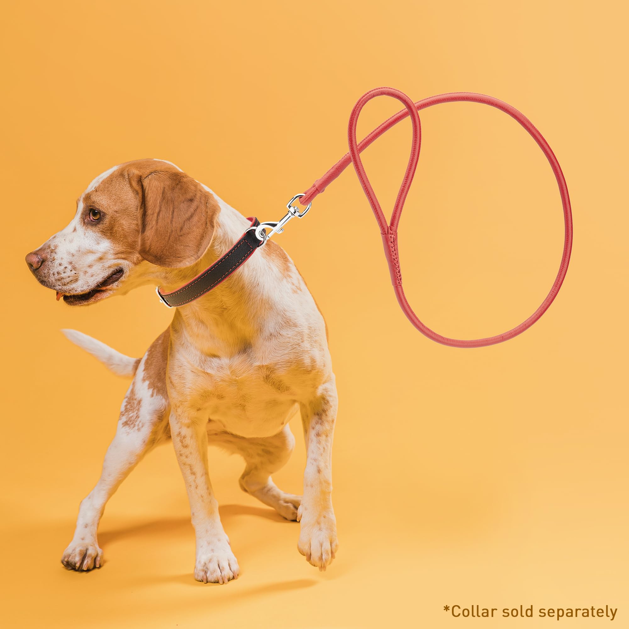 Dogline Rolled Leather Dog Leash - For Small, Medium And Large Breeds - Soft And Padded Lead Luxury Design - Red - 1/4In W X 6Ft L