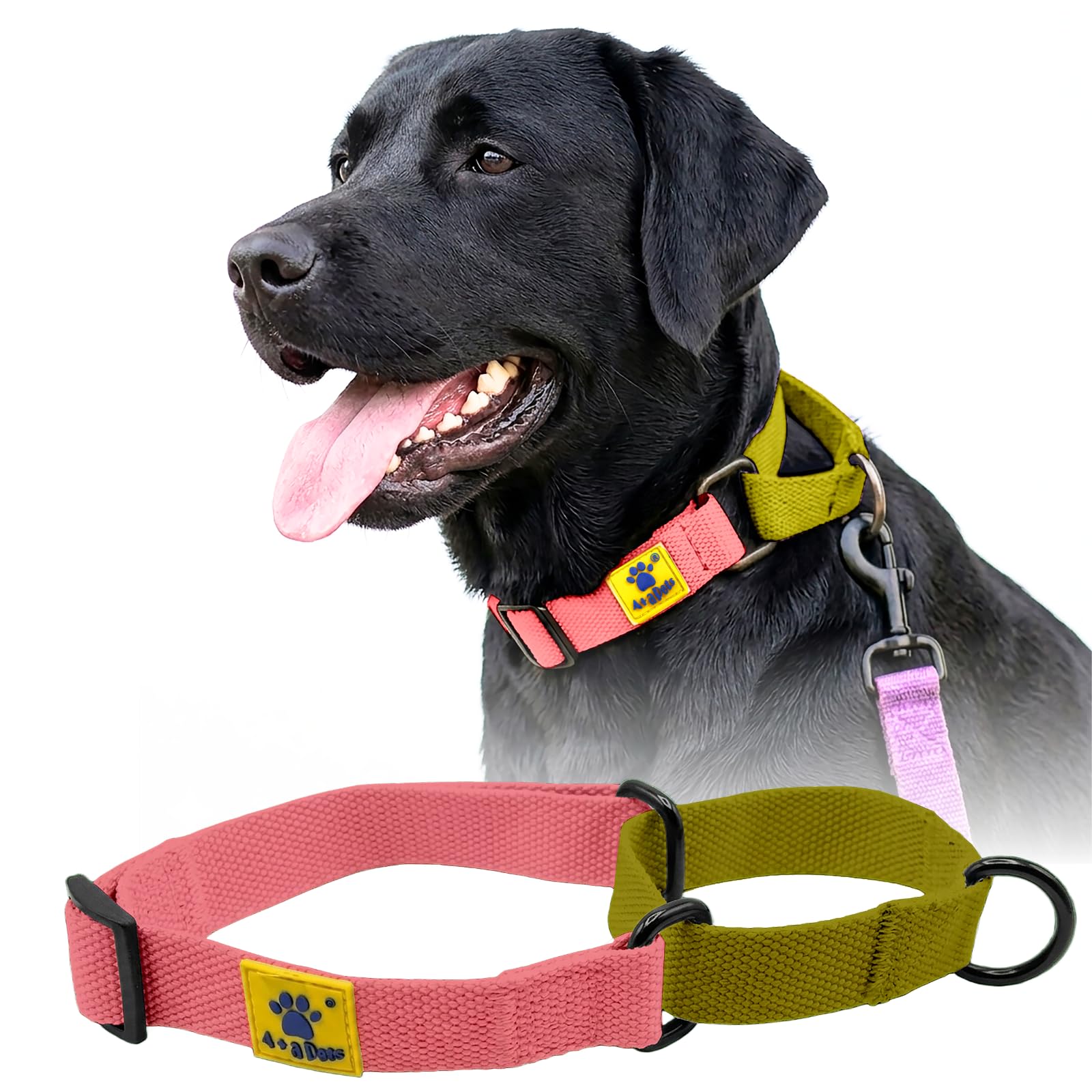 A+A Pets Martingale Cotton Dog Collar | No Choke, No Neck Strain | For Large & Medium Dogs | Rust Free Training Collar (Pink & G