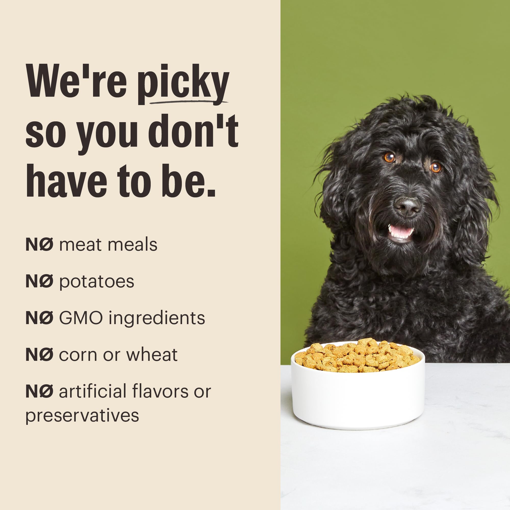 The Honest Kitchen Human Grade Essential Clusters Dry Dog Food, Whole Grain Beef & Chicken 20 lb Bag