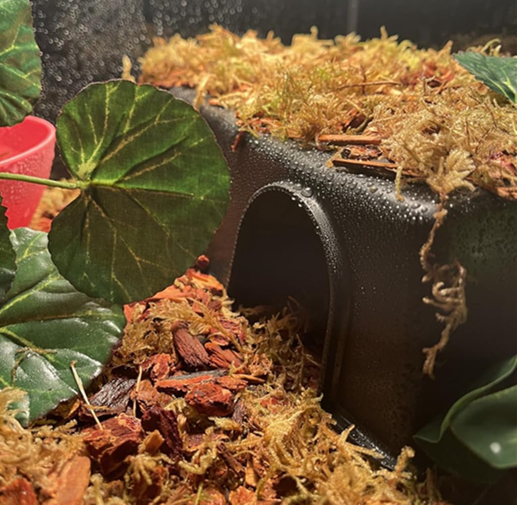 Leoterra Large Reptile Hide for Snakes & Lizards - Durable, Easy to Clean, Medium Size (10.23"x7.48"x2.75")