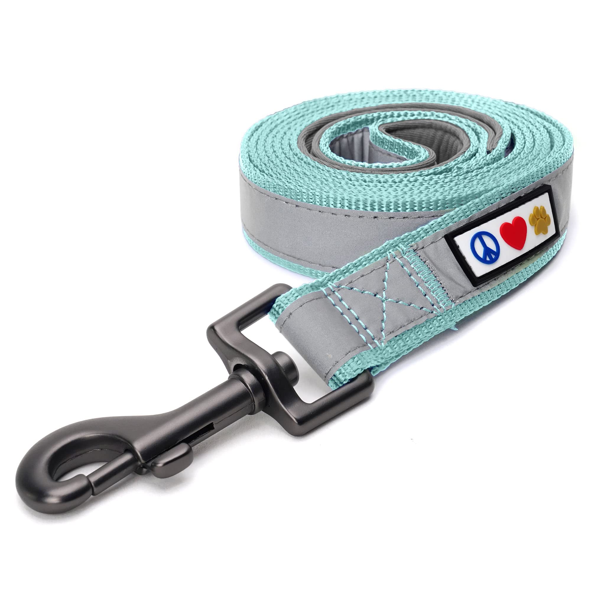 Pawtitas 6 FT Padded Dog Leash with Comfortable Neoprene Padding Handle - Teal Lead | Medium Reflective Dog Leash with Highly Re