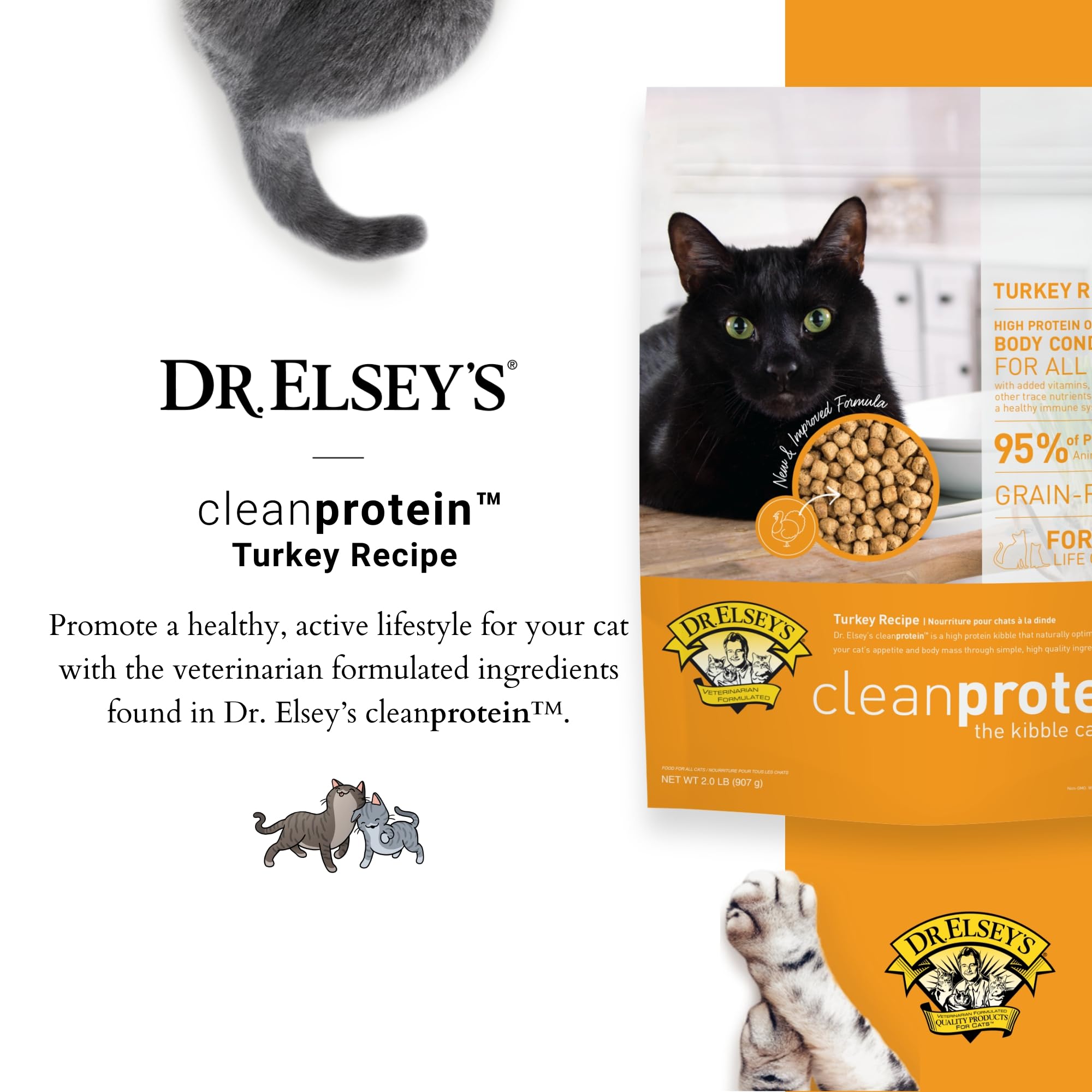 Dr. Elseys Clean Protein Turkey Dry Cat Food - Cat Kibble Dry Food for All Cats - Protein-Rich Healthy Cat Food w/Natural Ingre