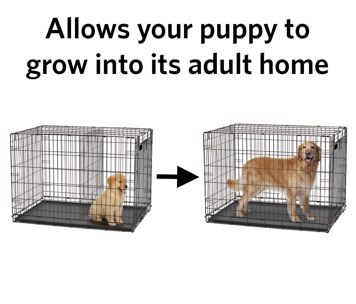 MidWest Homes for Pets Dog Crate Divider Panel, 22.13"L x 22.05"W x 0.60"H, Black, Fits 36-Inch Crate Models 153