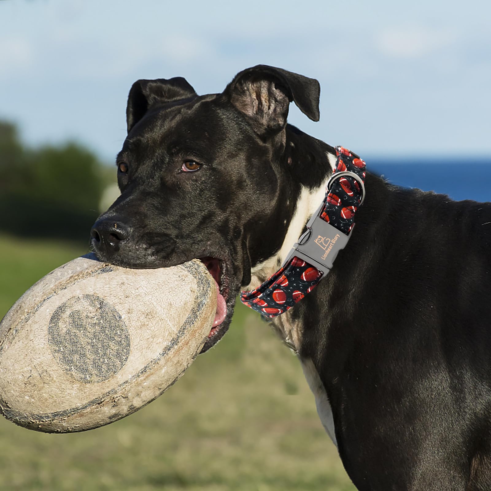 Lionheart Glory Dog Collar - Rugby Print, Soft, Durable, Adjustable, Comfortable, Handmade For Medium Dogs - Gift