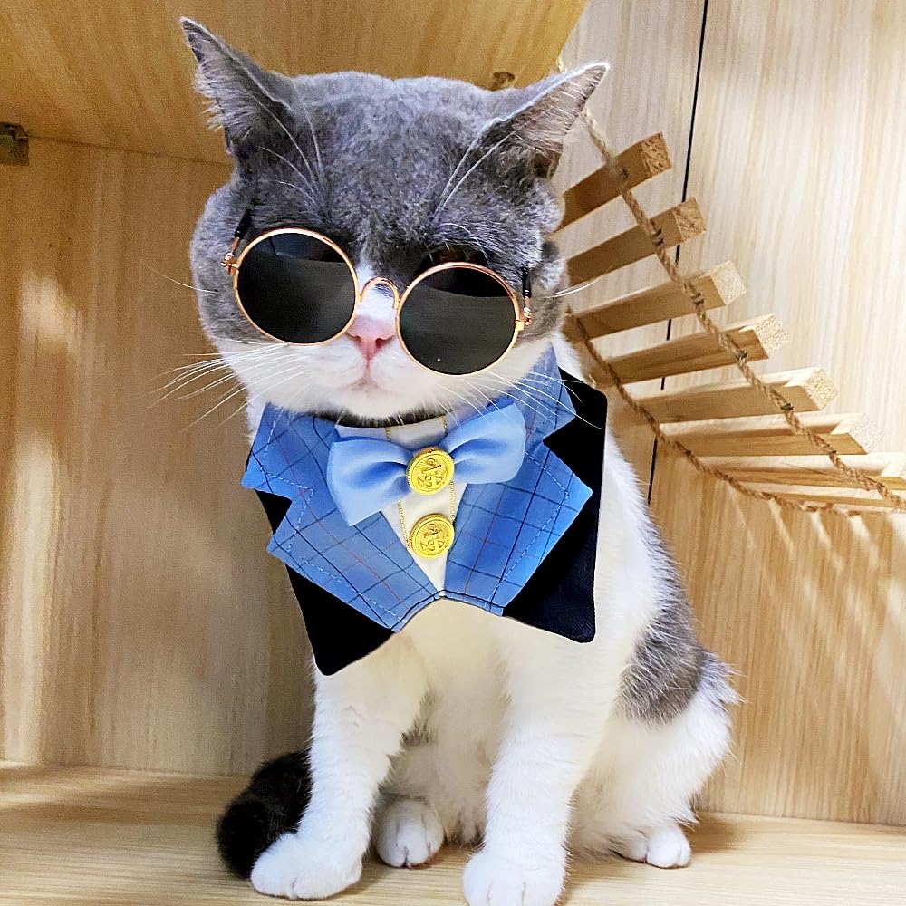 Gallarato Dog Tuxedo Formal Cat Birthday Costume Cat Dog Formal Wedding Attire (Blue)