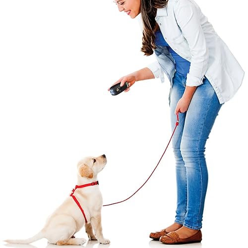 PetZoom Ultimate Dog Training System EM-2794 - Effective Command Training Tool for Dogs
