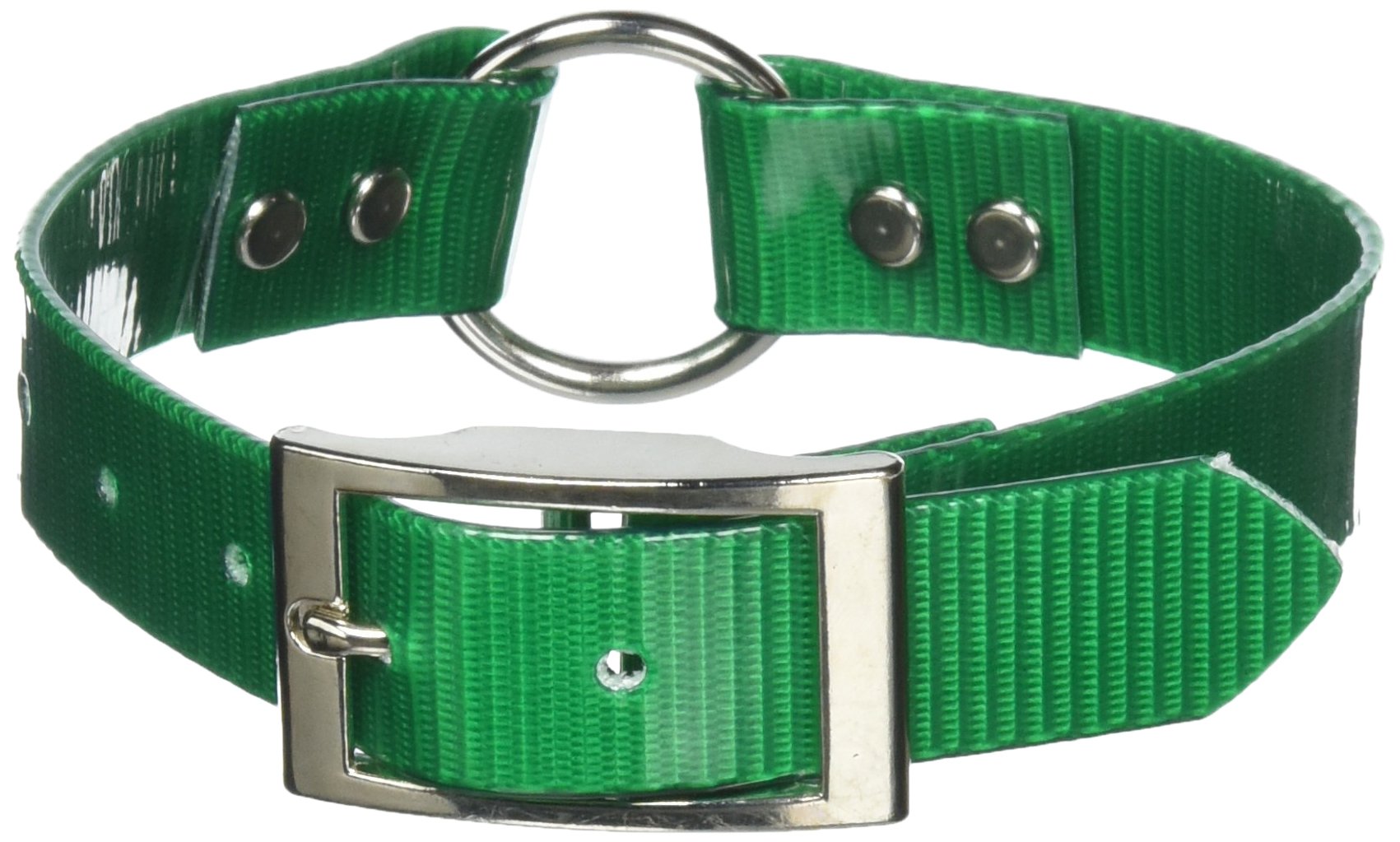 Omnipet Sunglo Ring-In-Center Dog Collar, 1' Wide, Green, Fits 12'- 15.5' Neck Sizes, Vibrant Colors & Tough Construction For