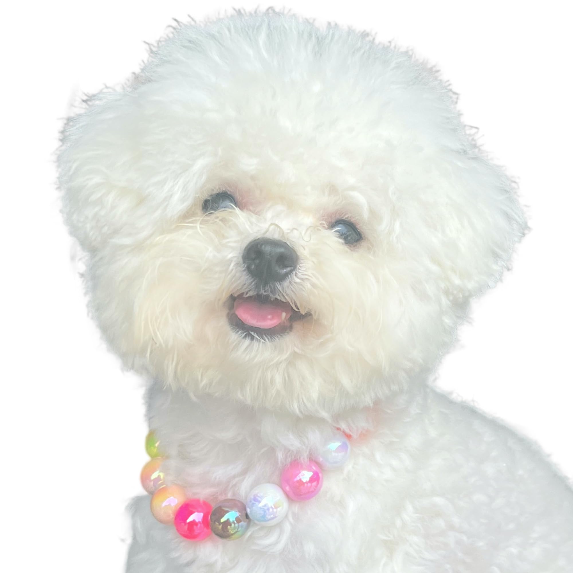 Kepudengen Dogs Necklace,Pet Fashion Necklace, Colorful Beaded Necklace,Pet Jewelry,Vibrant Candy-Colored Pet Jewelry Necklace F