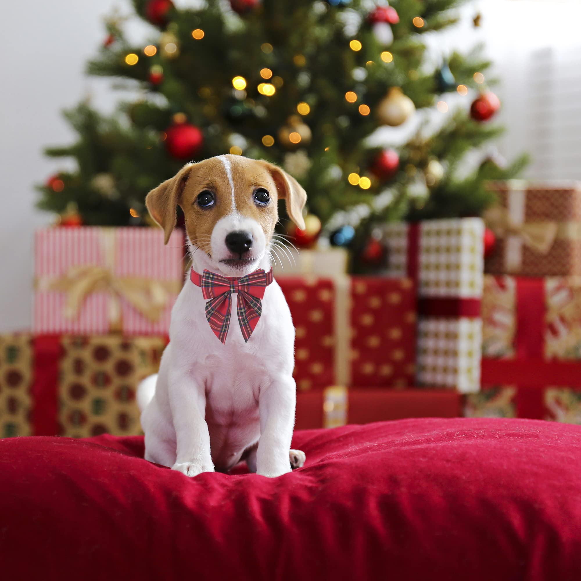 Adoggygo Christmas Dog Collar With Bow, Adjustable Cotton Red Plaid Bowtie Dog Christmas Collars For Small Medium Large Dogs Pets (Medium, Xmas)