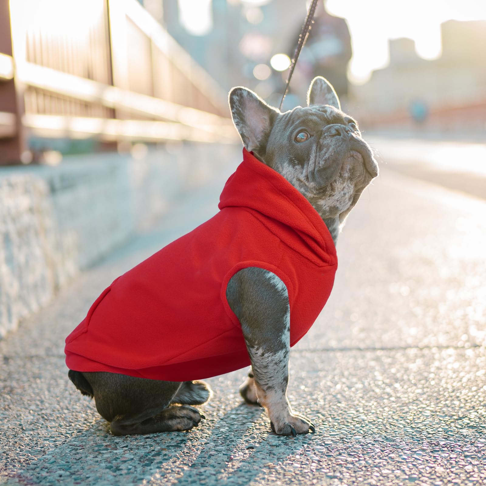 Iecoii Warm Dog Hoodie For Large Dog,Dog Christmas Sweater Fleece Vest With Leash Hole,Cold Weather Hoodie For Dogs Girl Boy,Ext