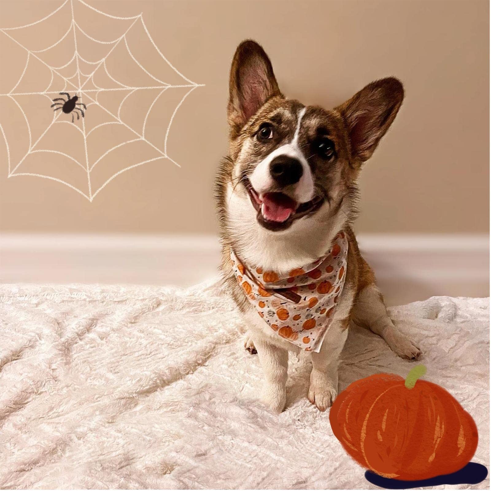 Lionheart Glory Dog Bandana 1 Pack Washable Soft Cotton Halloween Pumpkin Bibs Scarf, Adjustable Kerchief Square Dog Bandanas For Small Dogs