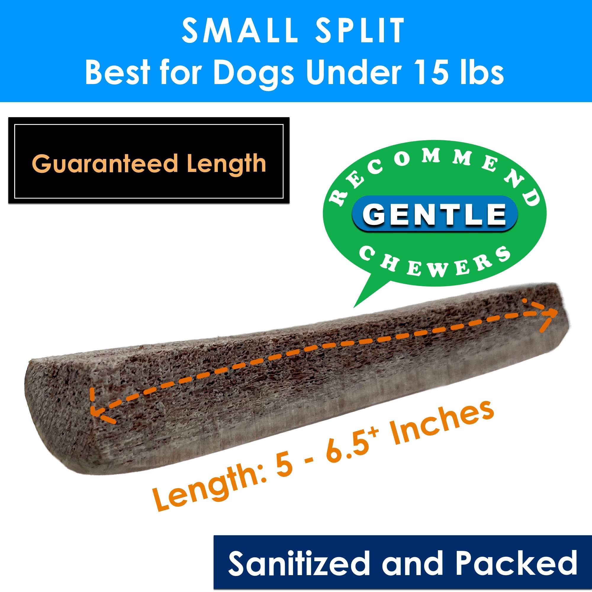 Deluxe Naturals 1-Pack Small Split Elk Antler Dog Chew (5 to 6.5+ in) - All Natural, Premium Grade A, Odor-Free, USA-Sourced - L