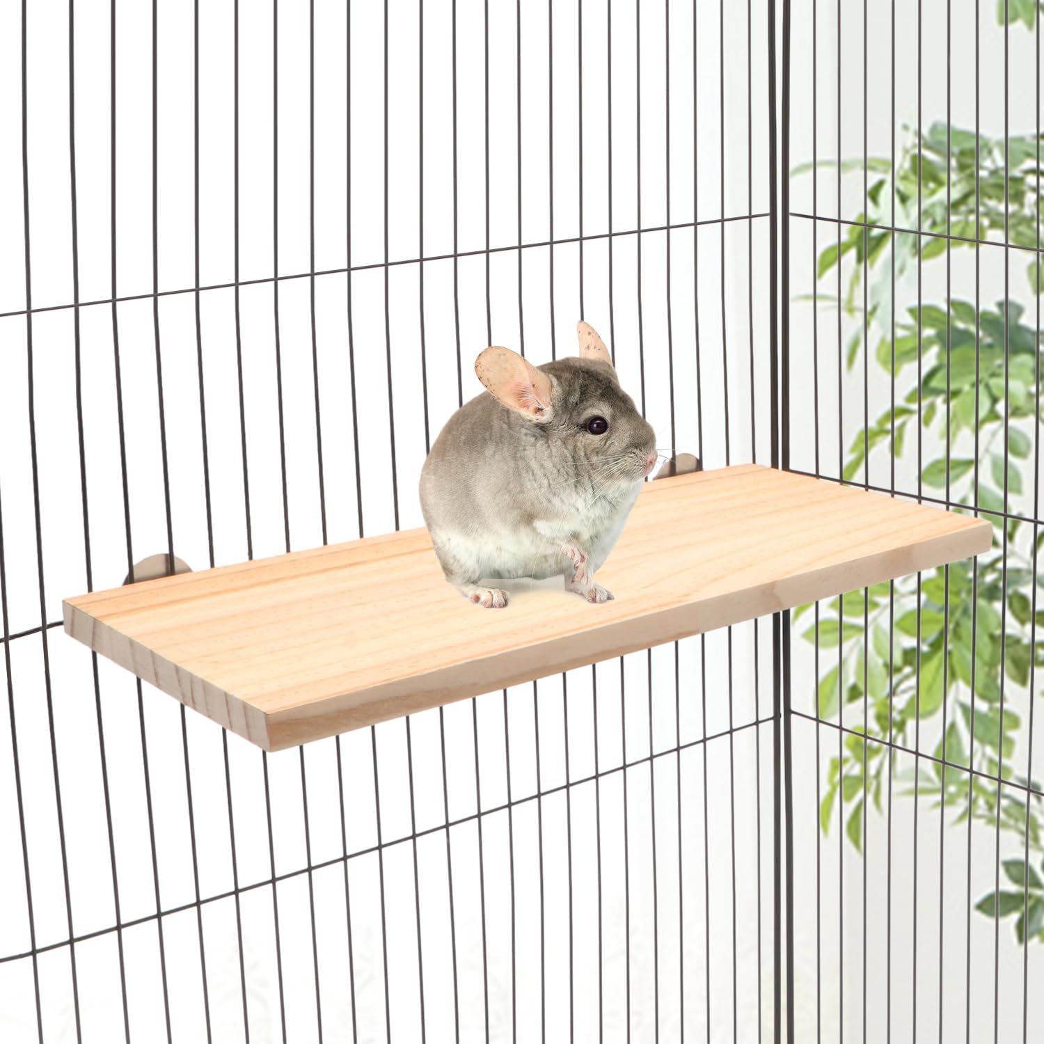 Wontee Bird Perch Stand Wooden Platform For Cockatiels Conures Rats Gerbils Chinchillas Squirrels (M)
