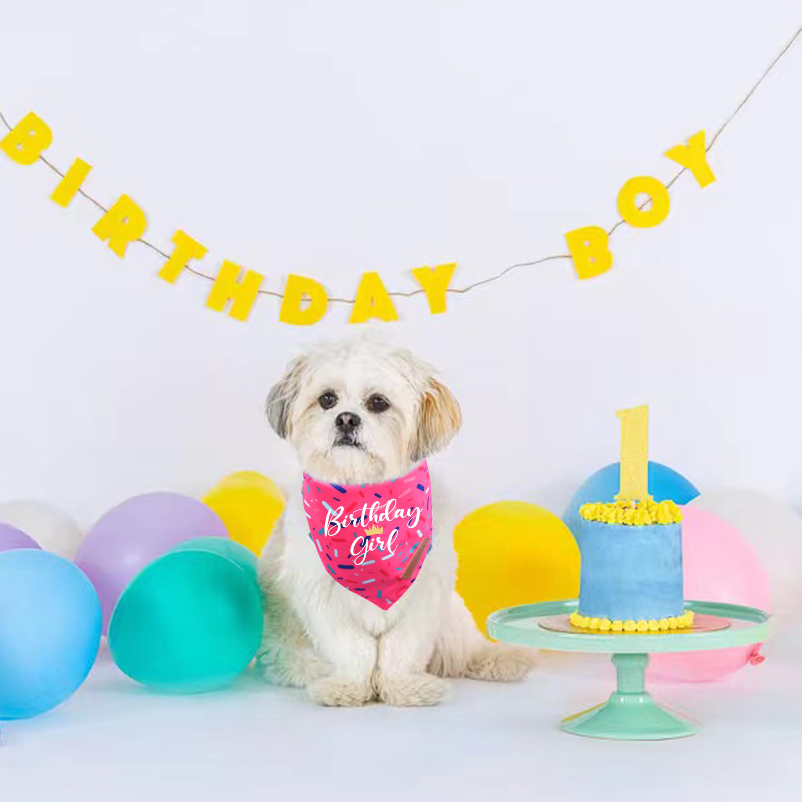 Realeaf Birthday Girl Dog Bandana, Dog Birthday Party Supplies,Premium Durable Fabric, Bandana For Large And Extra Large Dogs (P
