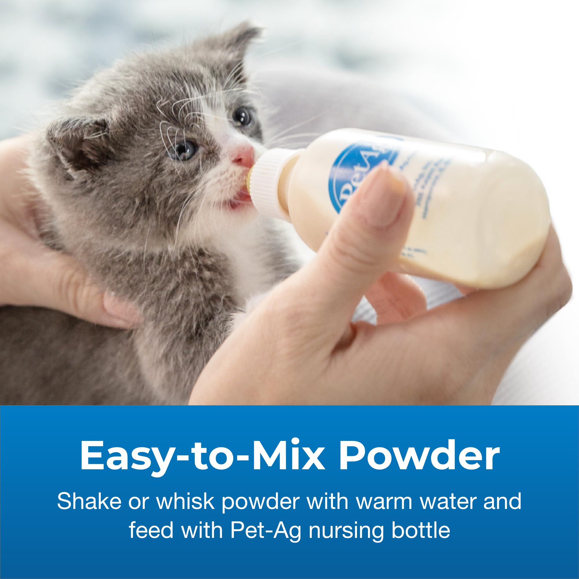 PetAg KMR Kitten Milk Replacer Powder - 6 oz, Pack of 2 - Powdered Kitten Formula with Prebiotics, Probiotics & Vitamins for Kit