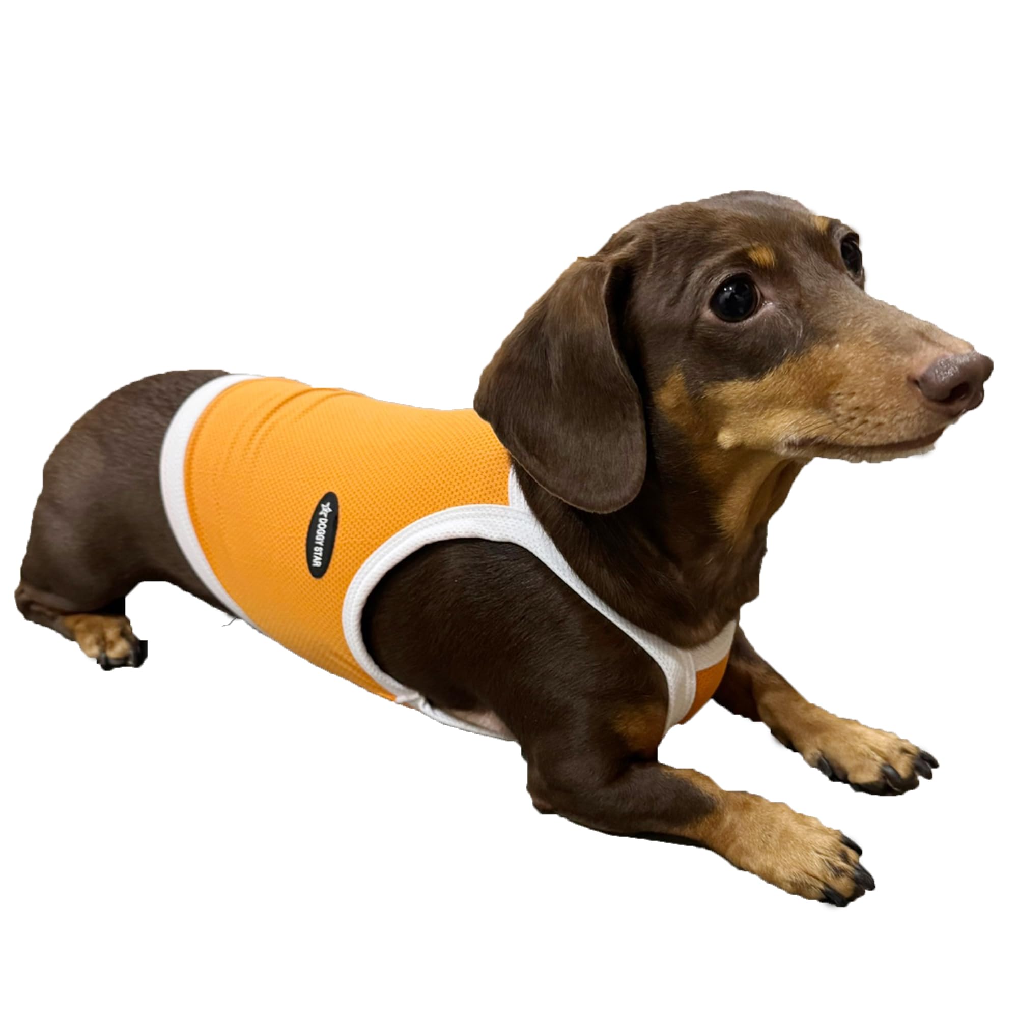 D Doggy Star Dachshund Clothes Spring Summer Cooling String T Shirt Crop Top For Dogs (S,Camisole Orange)