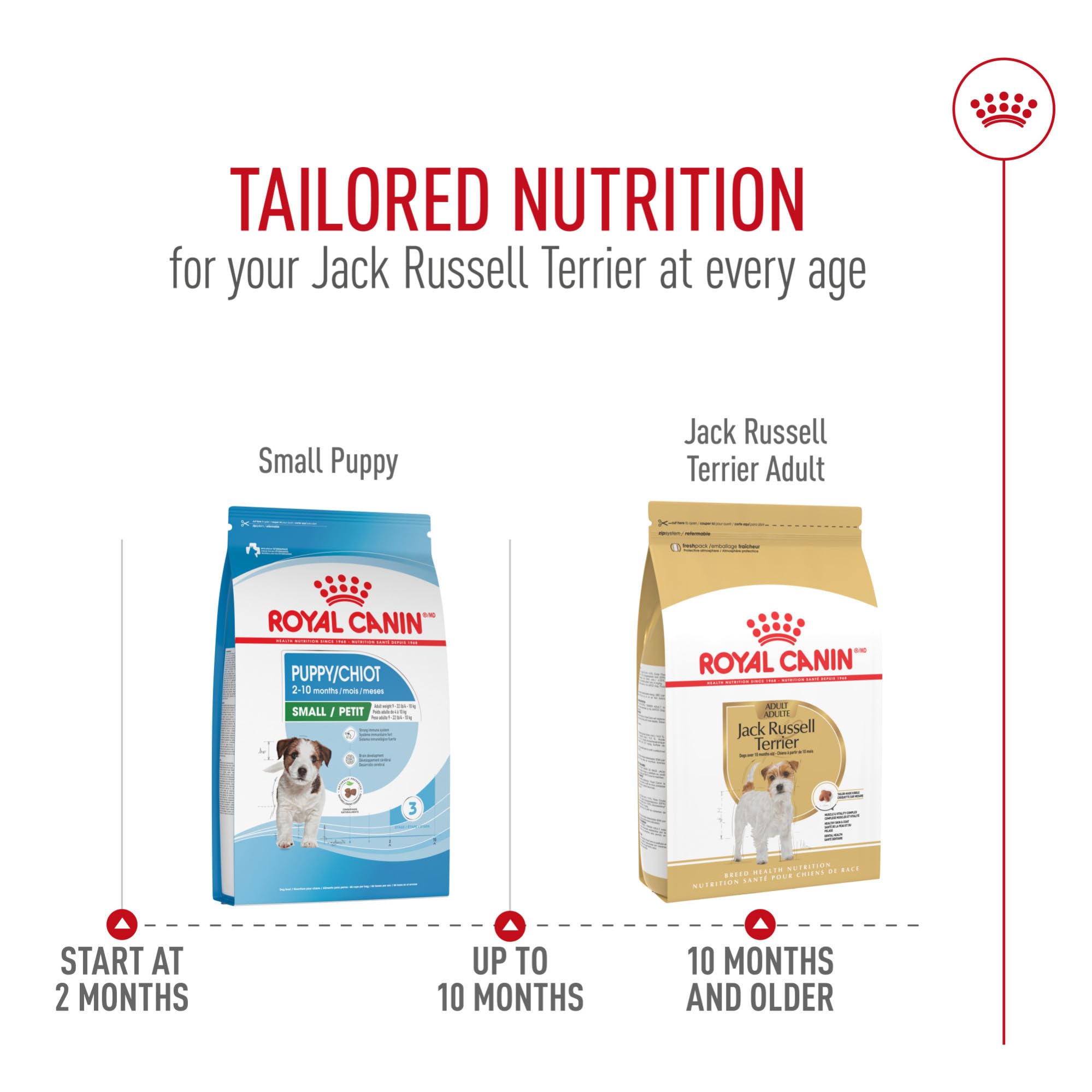 Royal Canin Breed Health Nutrition Jack Russell Terrier Adult Dry Dog Food, 10 lb Bag