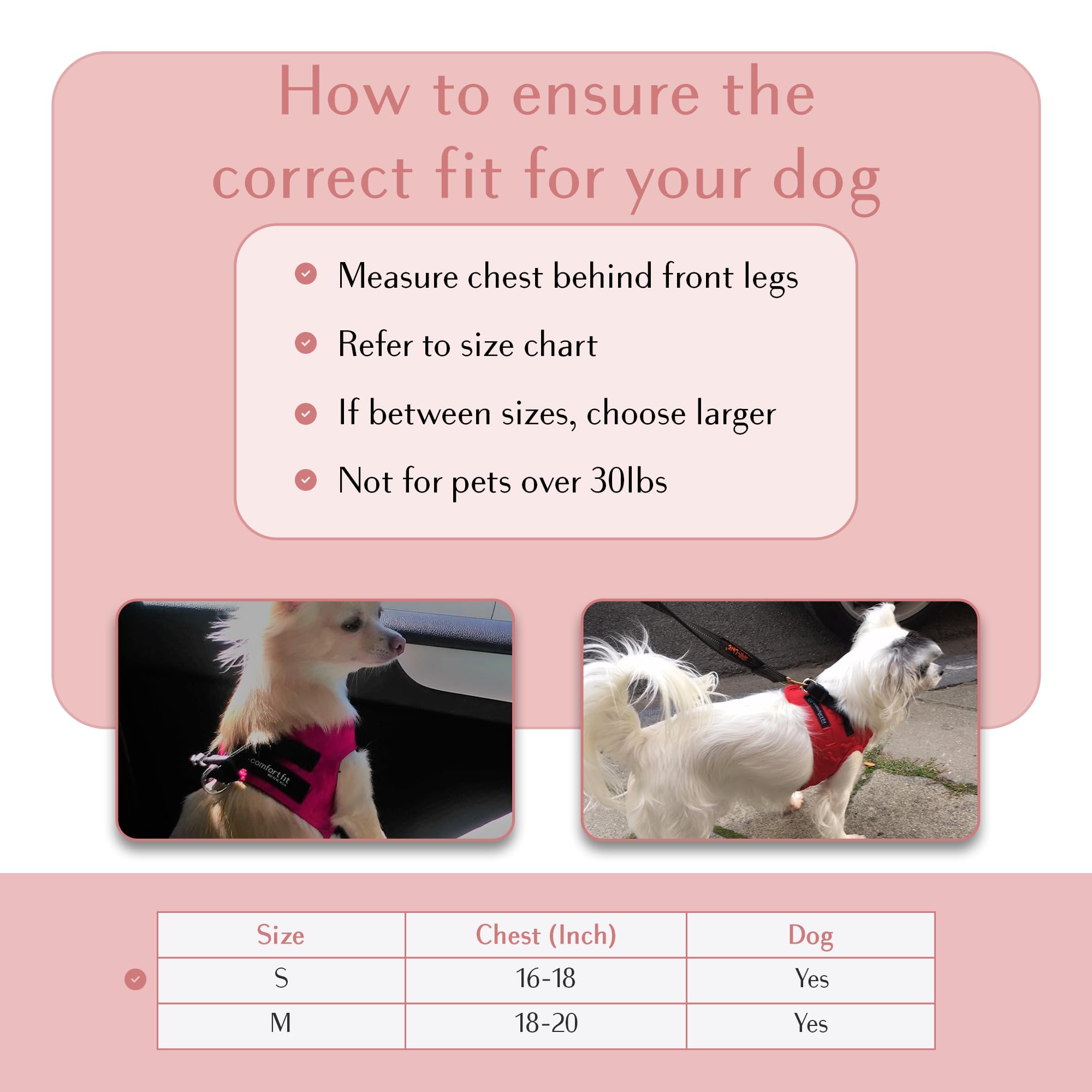 Comfort Fit Step-In Dog Harness - Comfortable Puppy Harness & Dog Vest: Adjustable, Soft Padded For Small, Medium Dogs - Easy To Put-On Dog Harness Medium Sized Dog