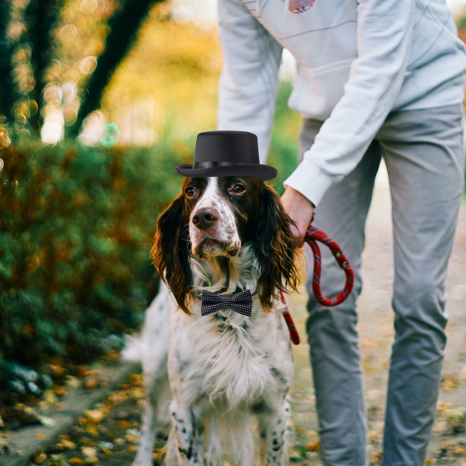 Yewong 2 Pieces Pet Formal Accessories Set - Pet Top Hat With Pet Formal Necktie/Bowtie Birthday Party Gradation Halloween Costumes Accessories For Dog Cat (Black-B) One Size