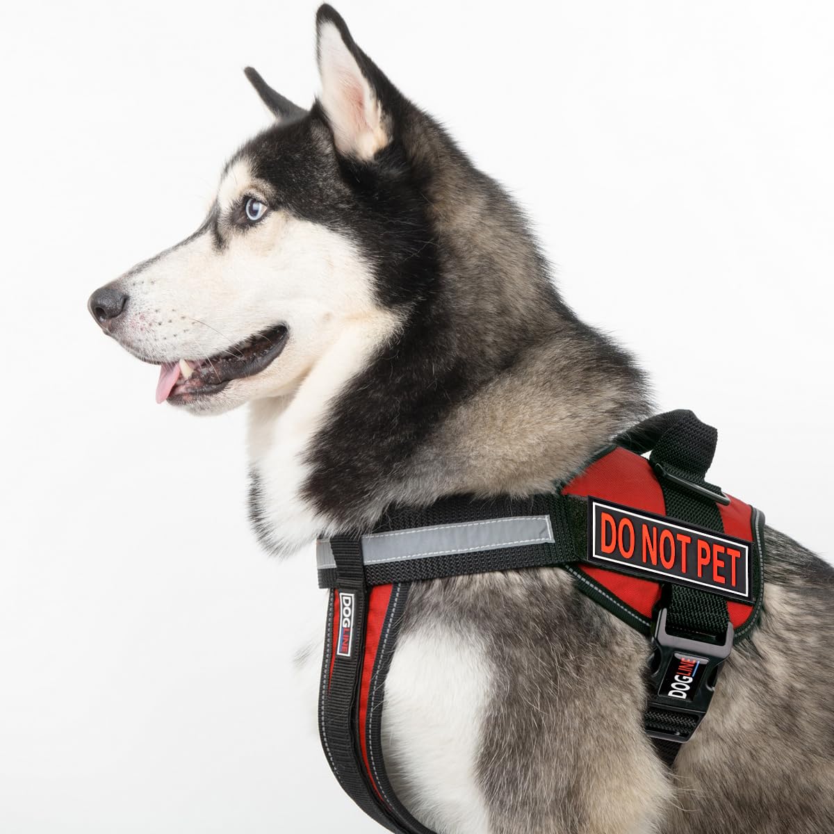 Dogline Do Not Pet Patches For Harness And Vest Removable 3D Rubber Patches With Hook Backing For Small Medium Or Large Working Dogs 1.5' X 4' - Two Patches