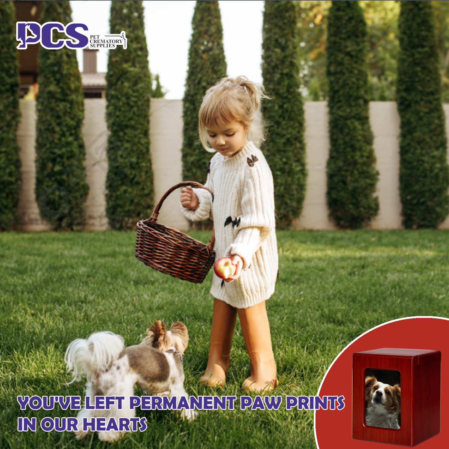 Pcs Pet Urns For Dogs Ashes, Dog Photo Urn, Urns For Dog Ashes, Pet Cremation Box Red-Medium