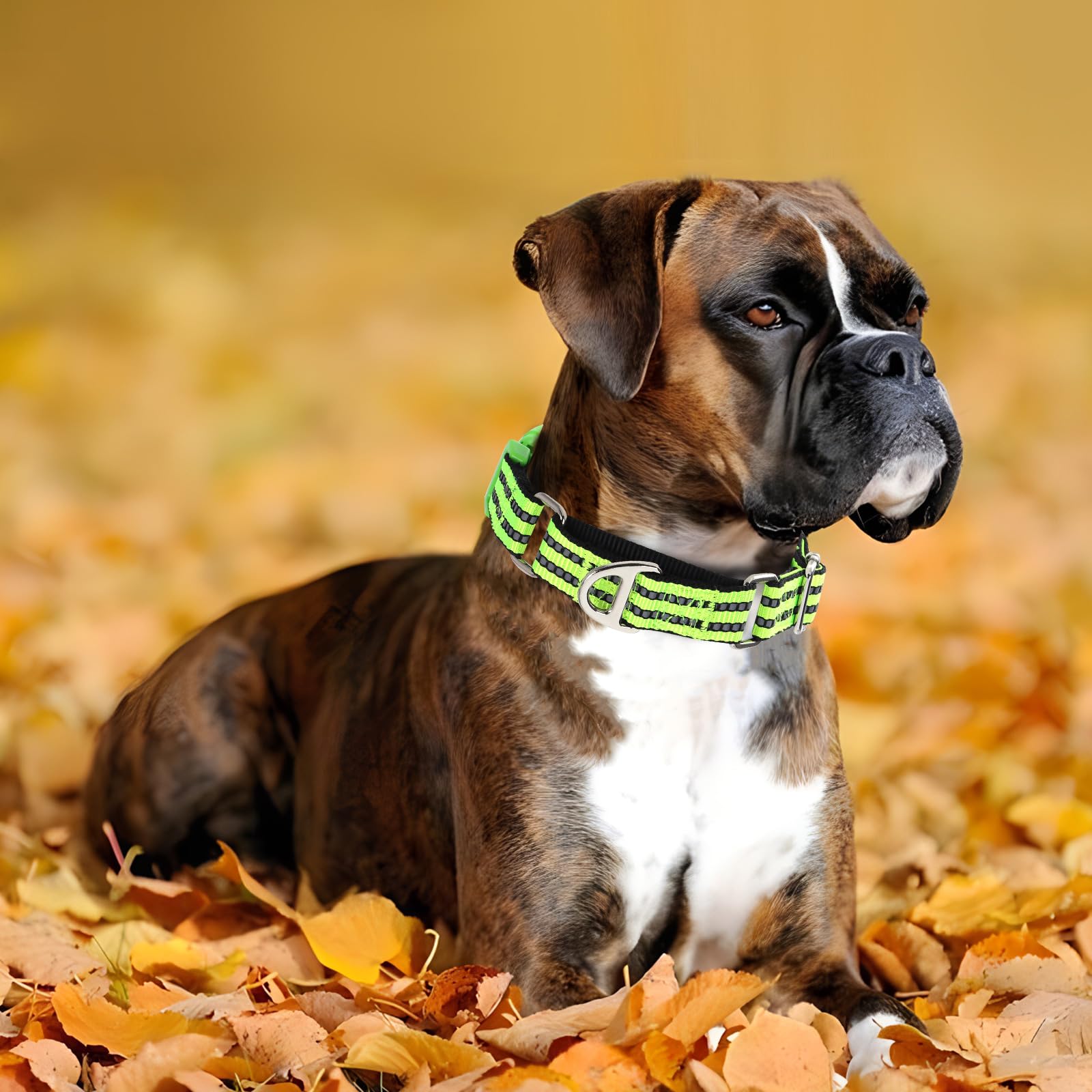 Martingale Dog Collar For Dogs, Reflective Heavy Duty Adjustable Collar With Quick Release Buckle, No Slip Collar For Girl Or Bo