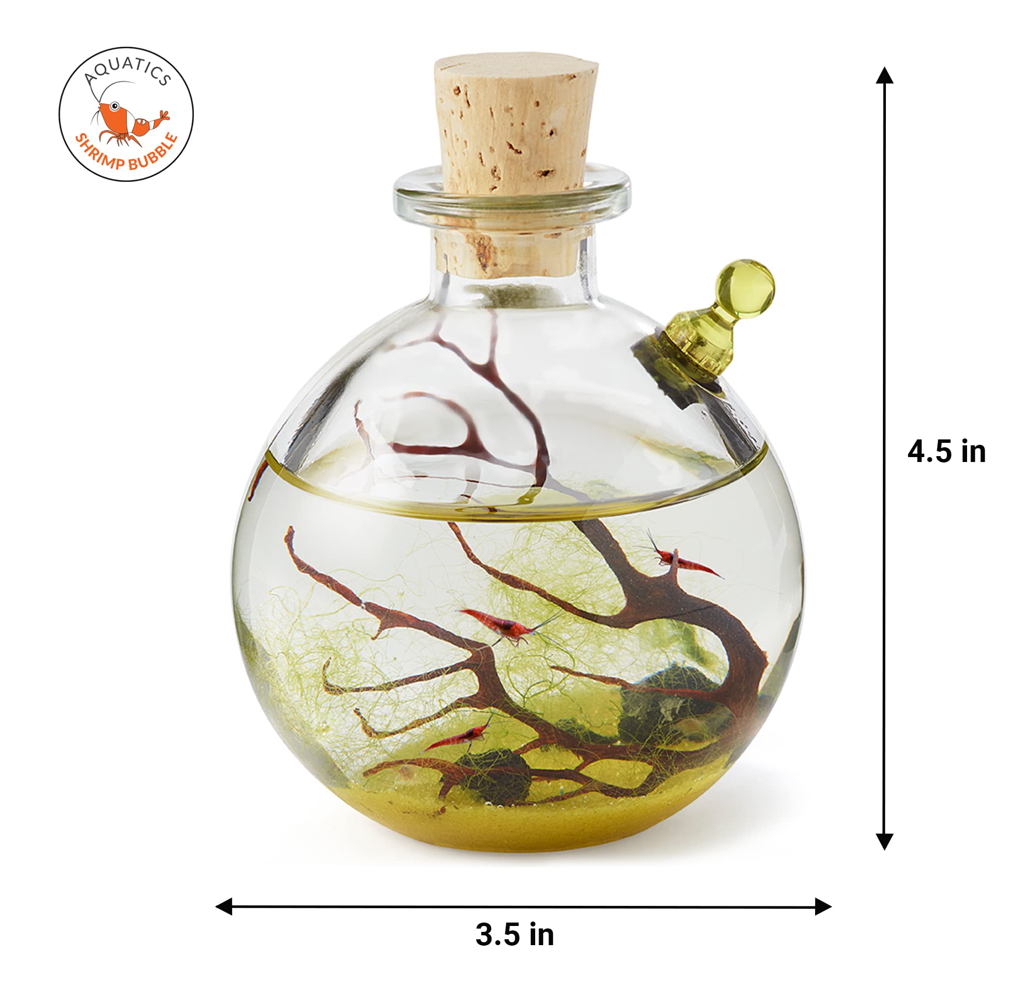 SHRIMP BUBBLE Glass Self-Sustaining Ecosystem - Amber Bubble Tank