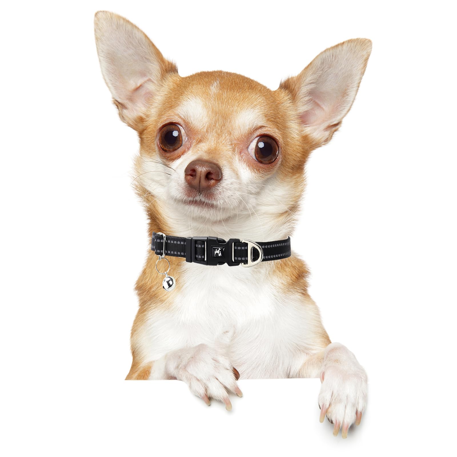 Onefojojo Reflective Dog Collar With Bell - Adjustable Nylon Puppy Collar For Small Dogs, Nighttime Safety For Chihuahua, Pomera