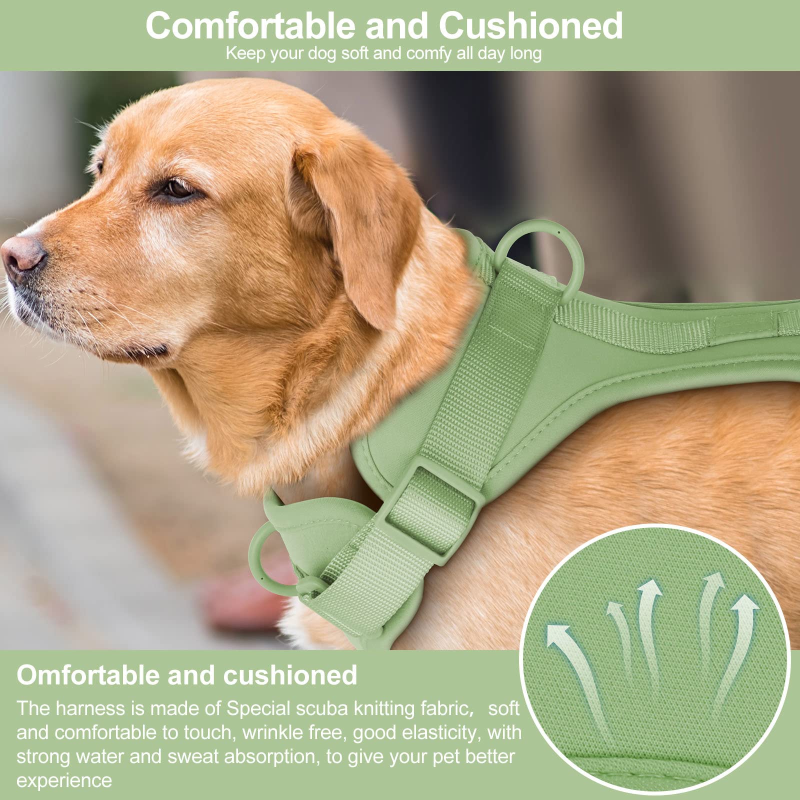 Wisedog No Pull Dog Harness, Lightweight Mesh, Comfortable Cushion, Size L, Sage Green